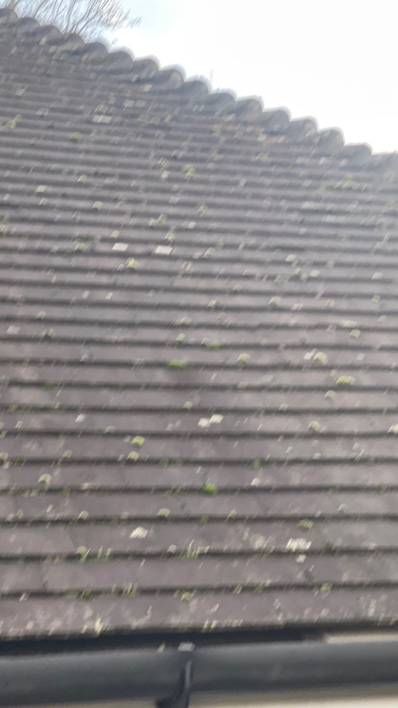 Roof Cleaning and Biocide Treatment using Honda 15lpm Low Pressure Washing Machine by Ges Exterior Cleaning ltd