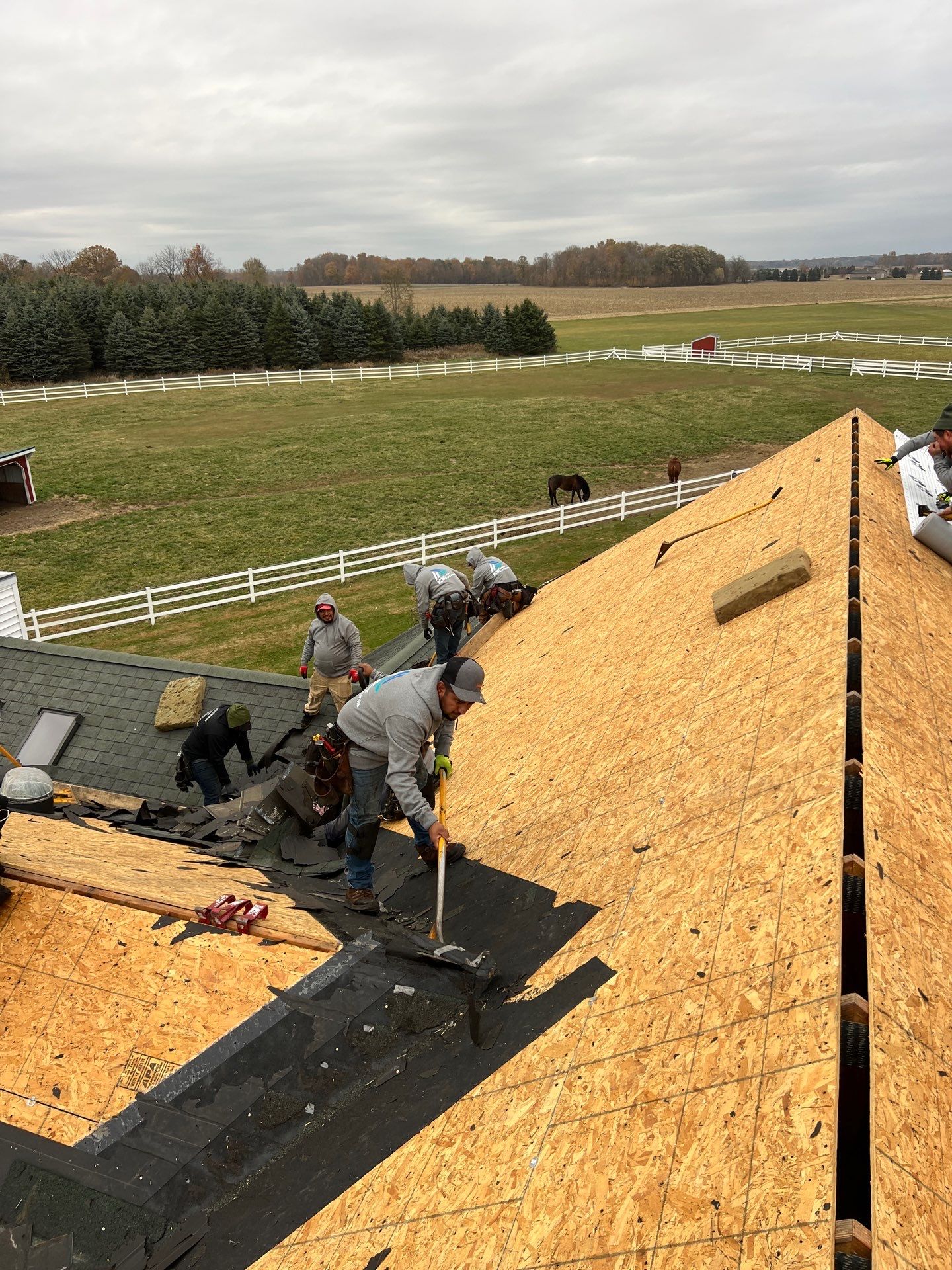 Residential Roofing Replacement with Multiple Skylights in Mason, Michigan by Acme Exteriors