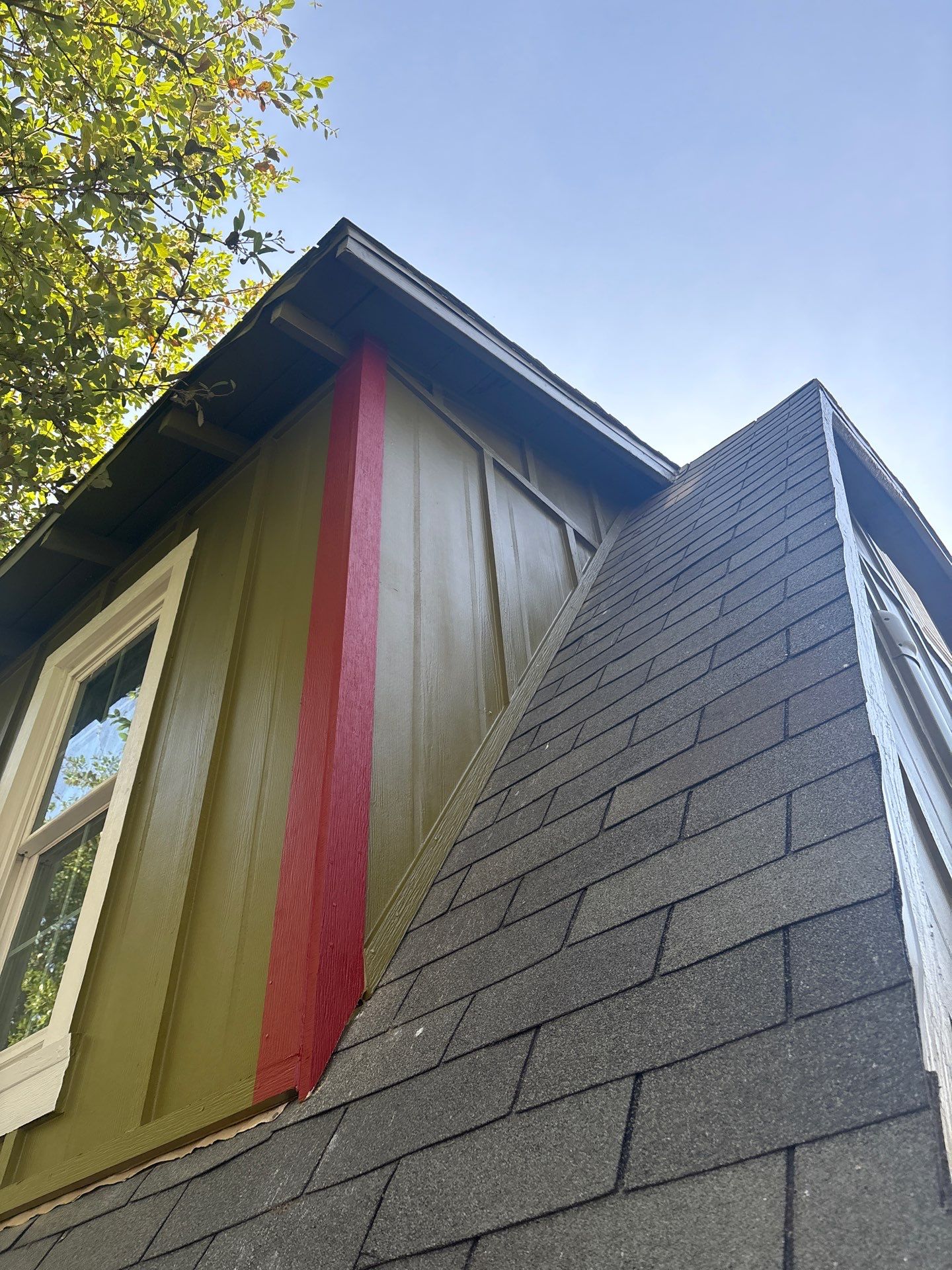 Olive you a Lot! by Bayfront Roofing and Construction