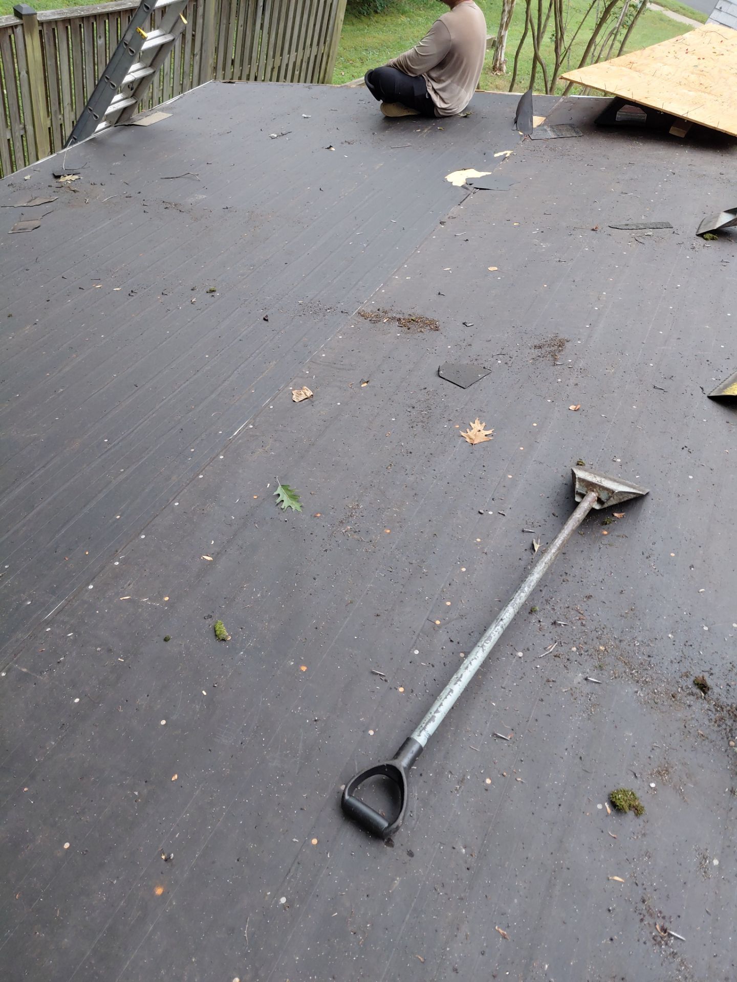 Springfield : with CertainTeed Landmark Pro in Max Def Cobblestone Gray  by RM Banning, Inc.