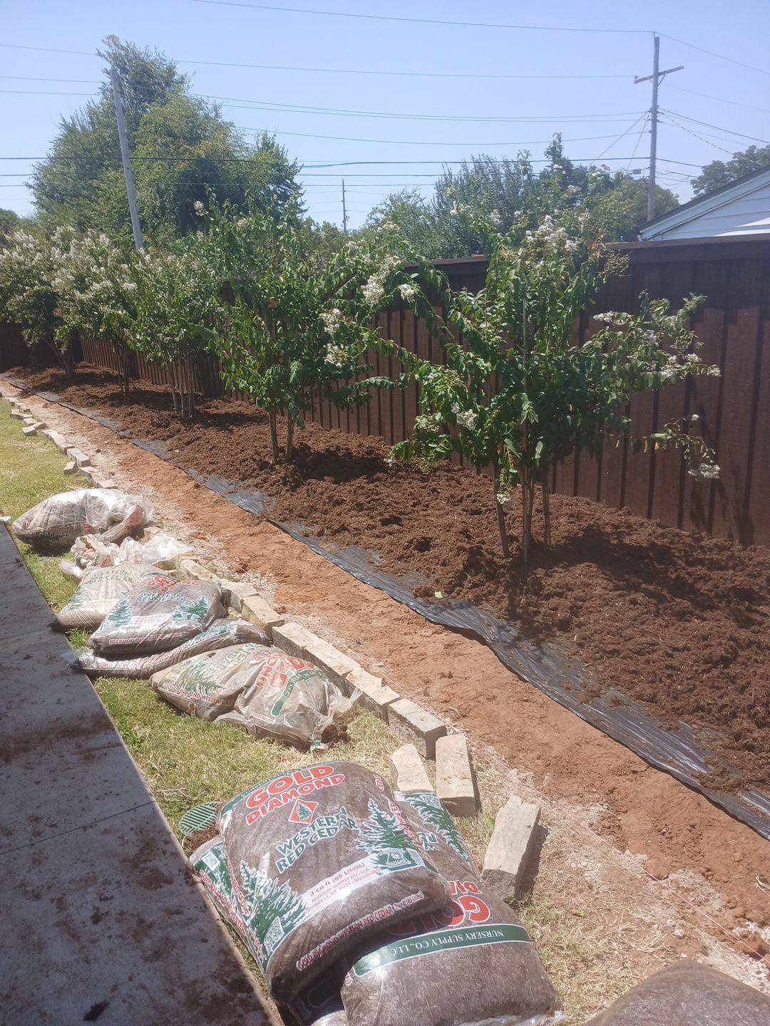Landscape using Crepe Myrtle Plant by Clays Services Inc