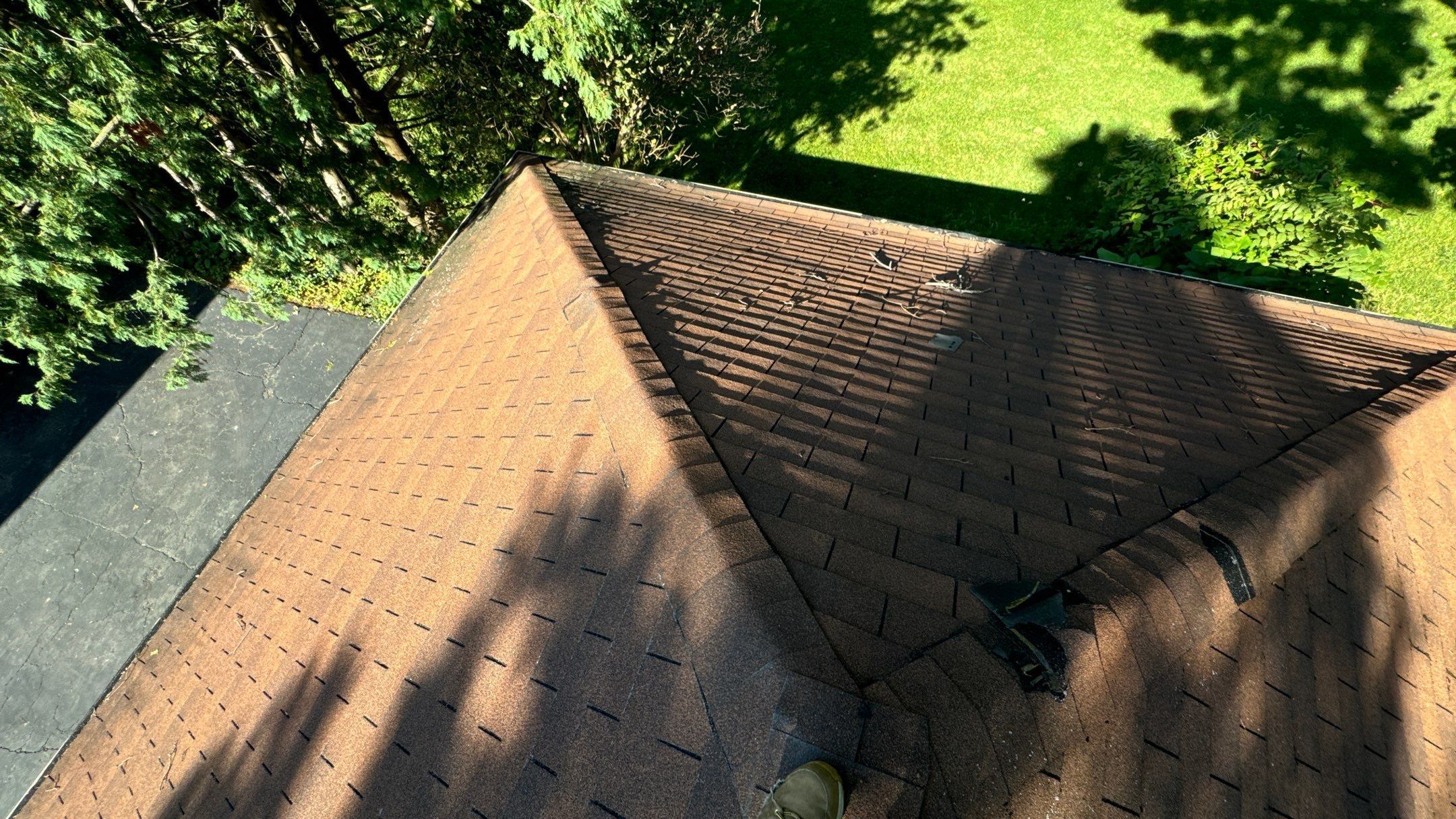 Roof Replacement using Owens Corning Summer Harvest by 180 Contractors