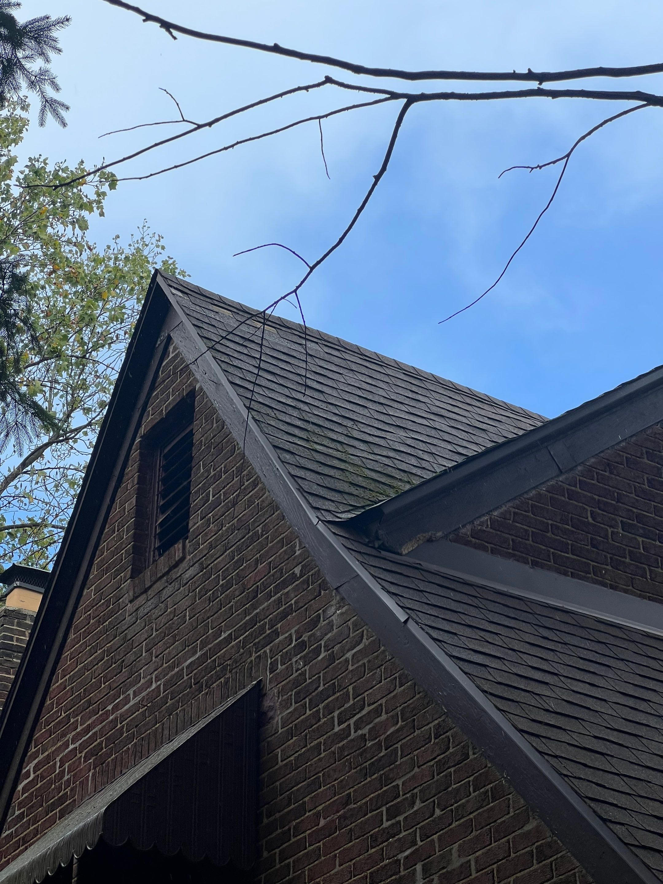 Sandy Graham by Silver Leaf Contracting 