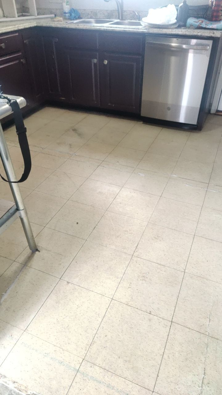 Mold Remediation by Accountable Home Services