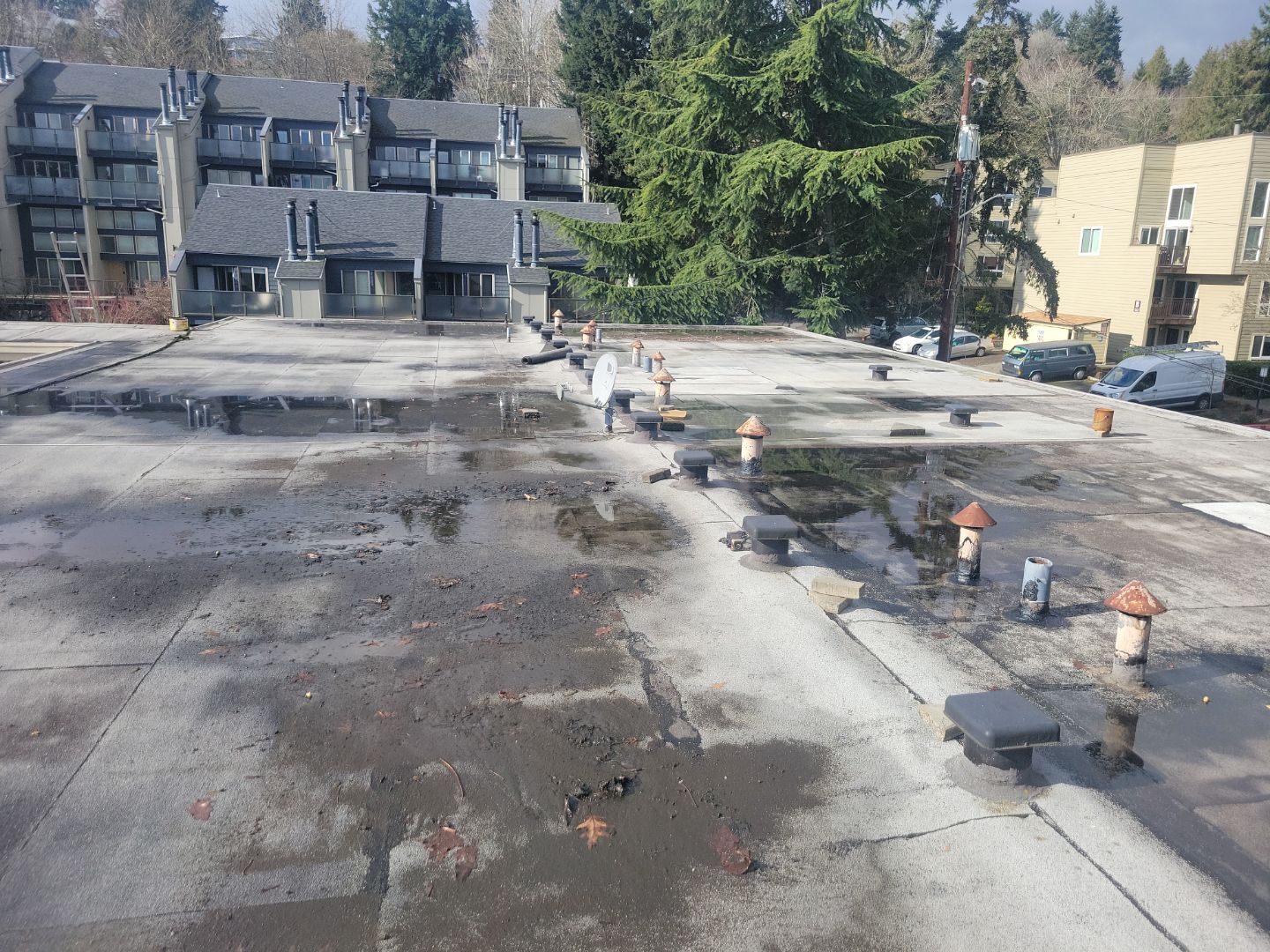 2024 Seattle Multi-Family Overlay by Alternative Roofing Systems Inc. 