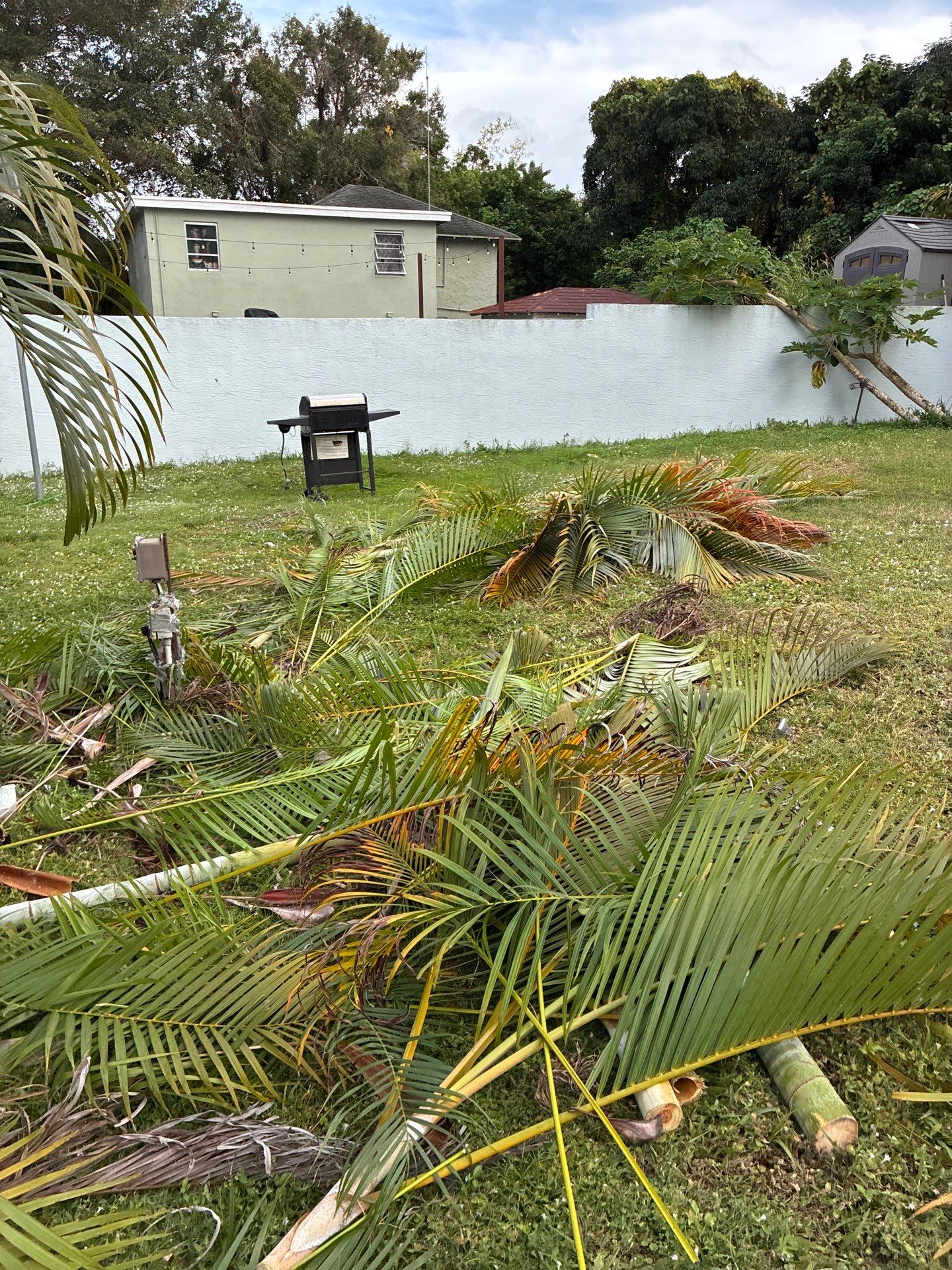 🏡 Pre-Sale Property Cleanup in Old Palm City, FL by Alpha Zeta Enterprises Inc