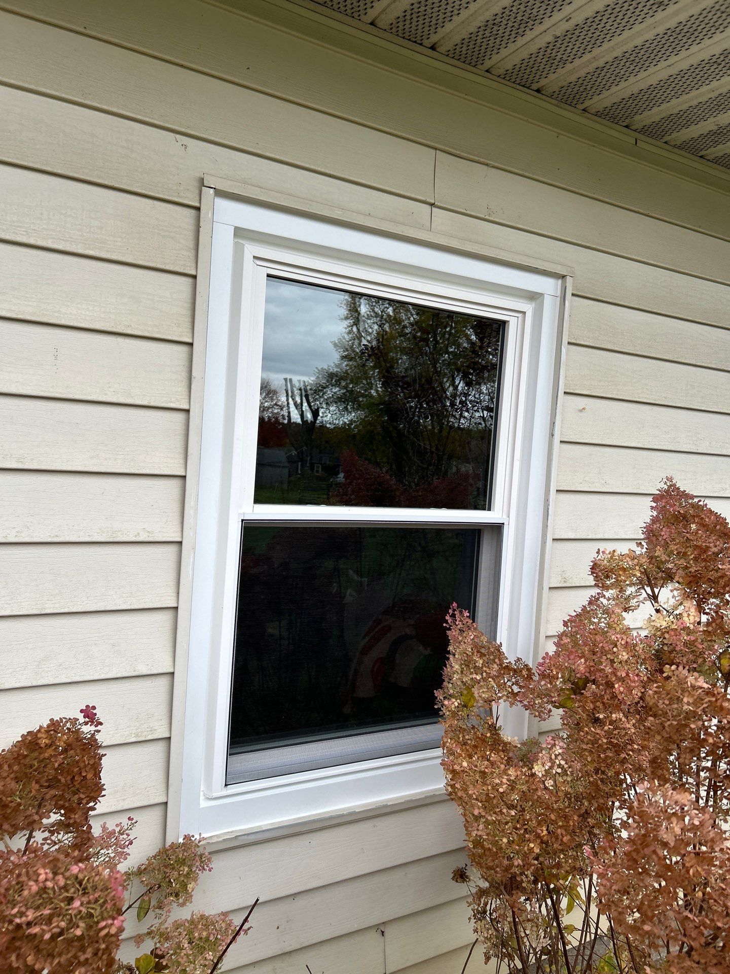 Windows in Norton by Ohio State Windows