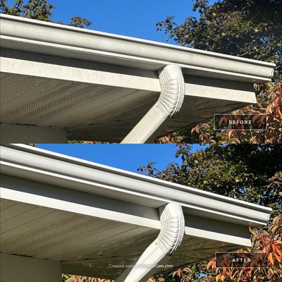 Project in Arlington Heights