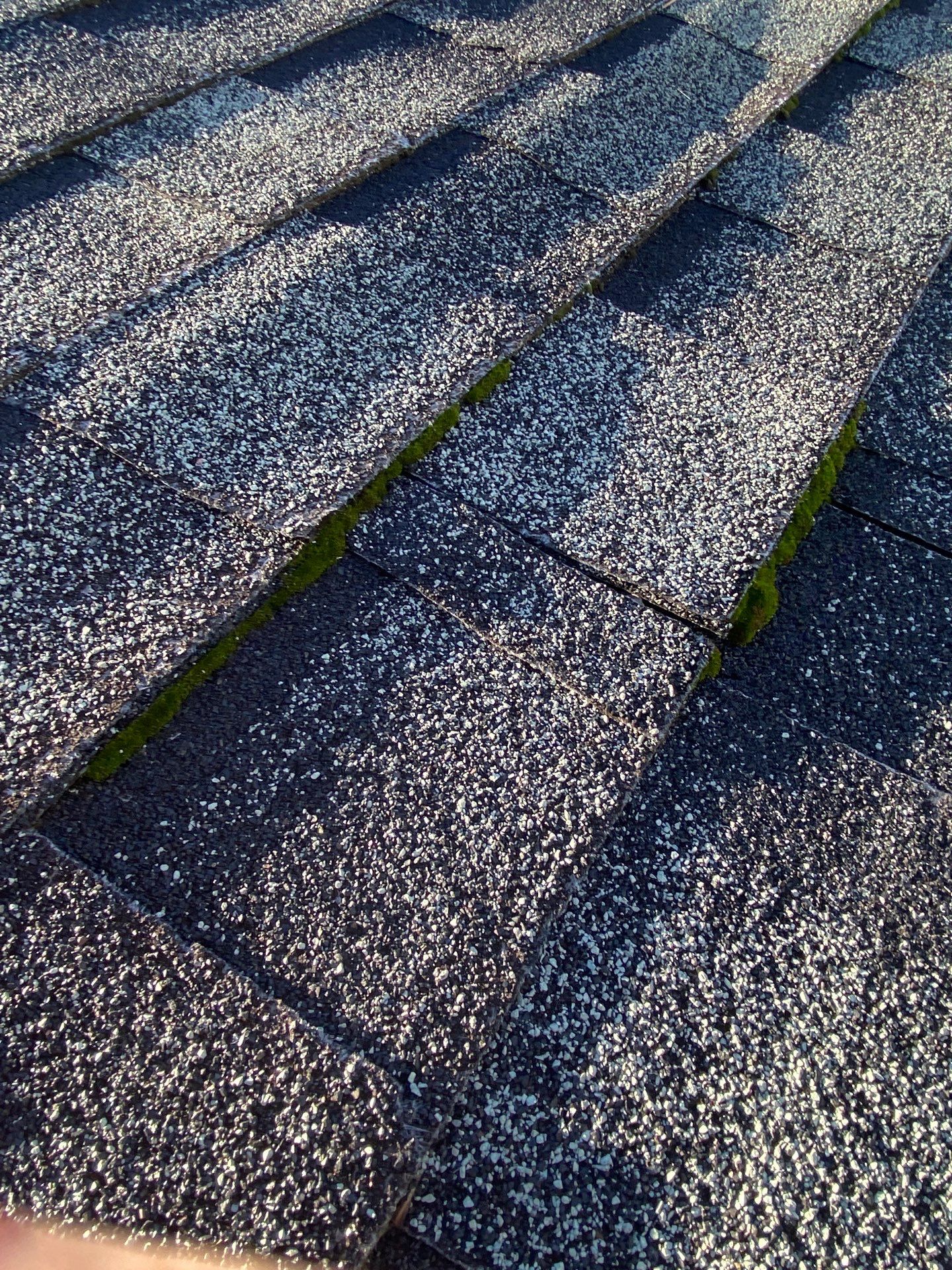 Roof Rejuvenation using Roof Maxx Treatment by Roof Maxx of Folsom