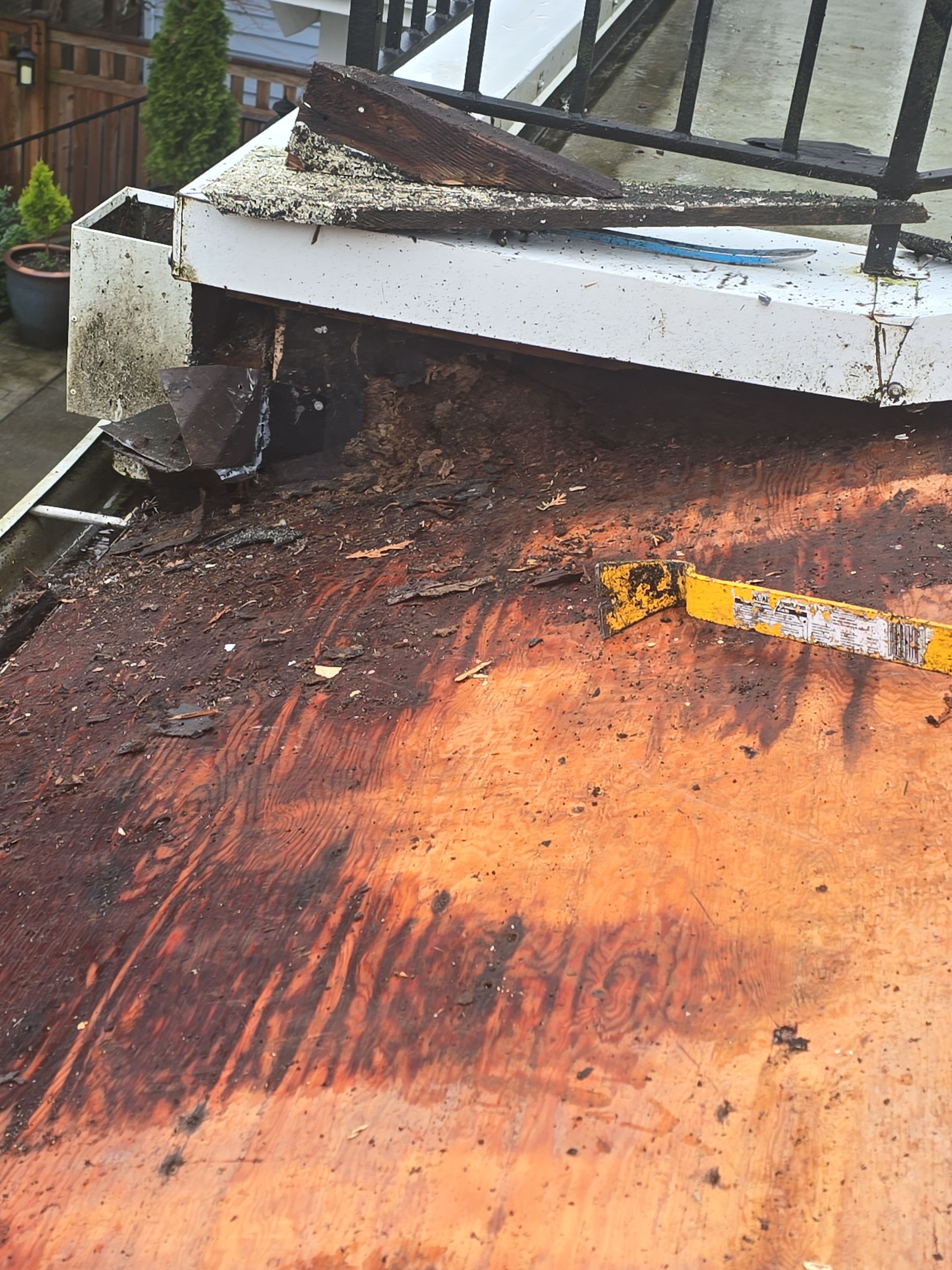 EuroShield in Sammamish by Roof Smart