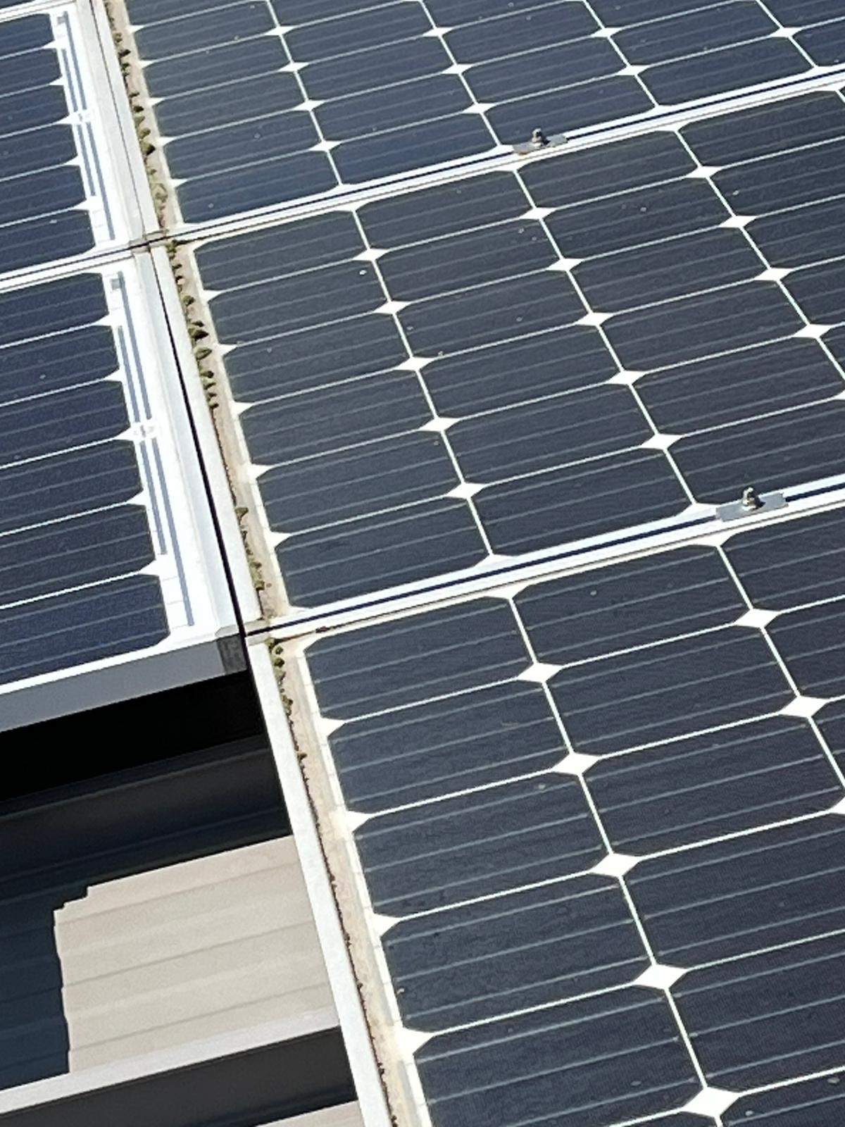 Los Alots Commercial Solar Panel Cleaning by All One Solar Shine