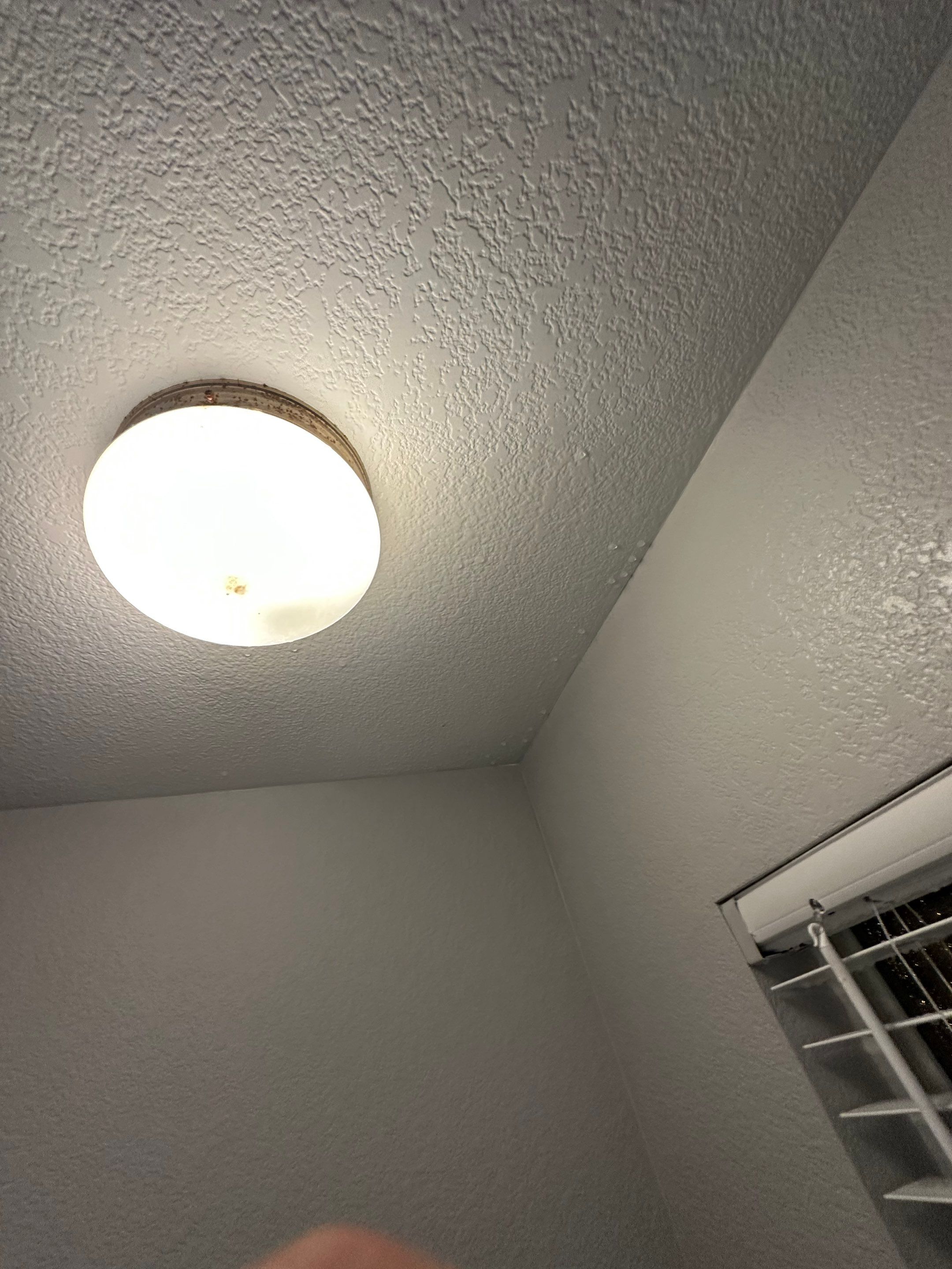 Water Damage in Highlands Ranch by Alpha Restoration 