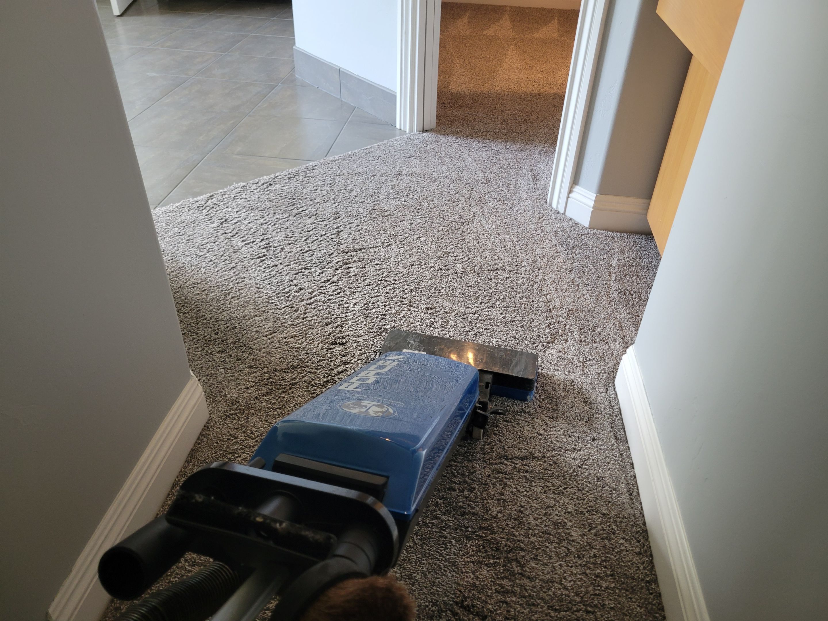 Carpet Re-stretch & Cleaning for House Listing by Ardent Carpet Restore LLC