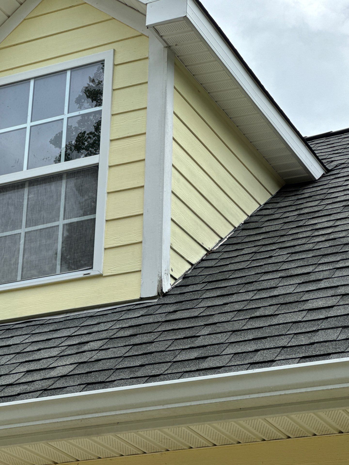 Paint Refresh by GonzalezPainters & Contractors Inc 