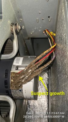 Air Duct Bathroom Exhaust Fans Cleaning in Clermont
