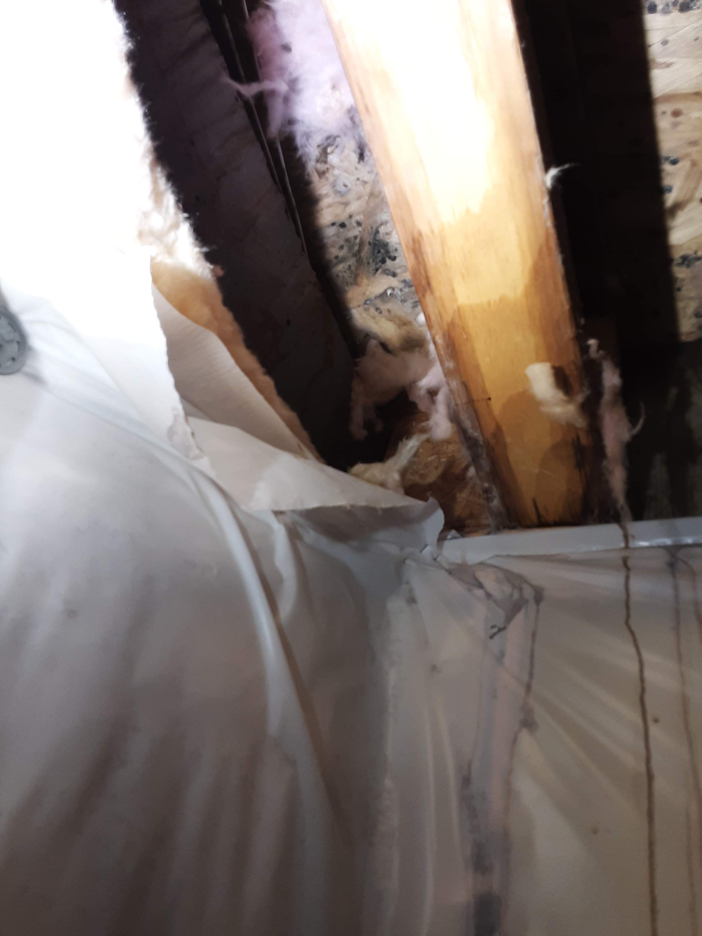 Interior water damage inspection by ASAP Roofing & Exteriors