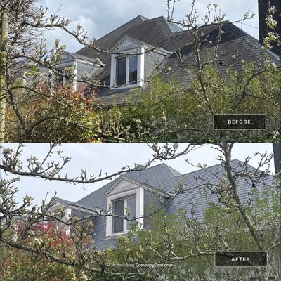 Project in Boortmeerbeek