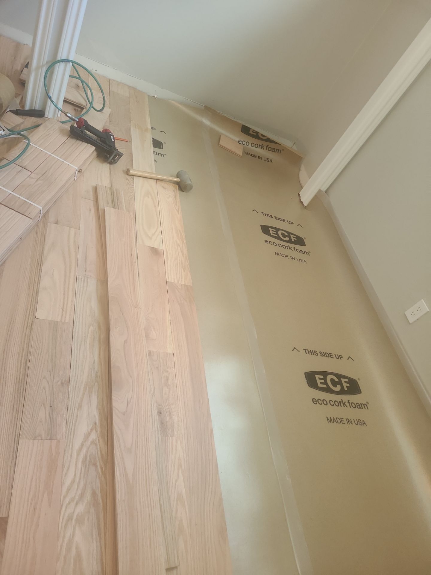 The Napolitano Family by SophAlx LLC