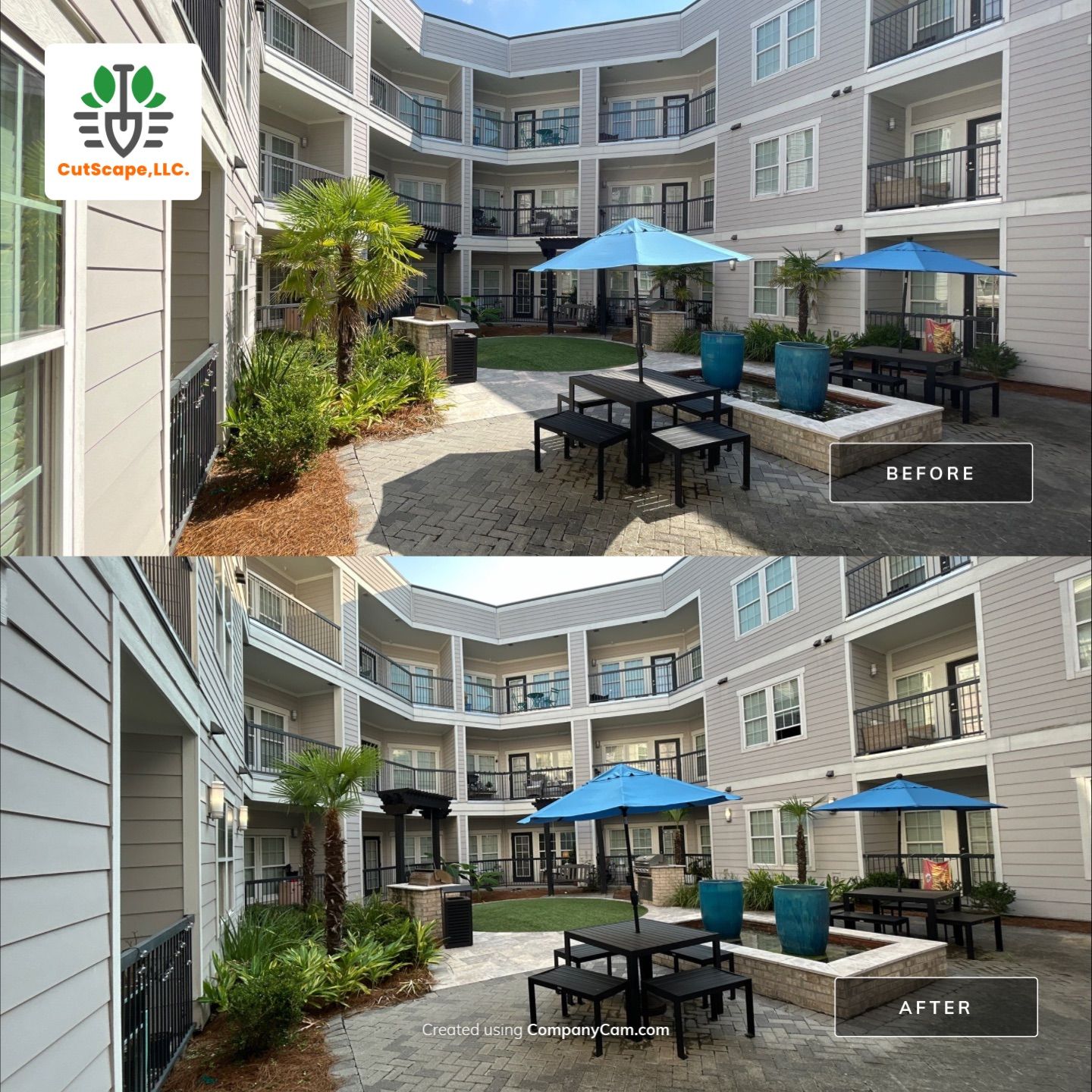 HEDGE TRIM / BED CLEAN using HEDGE TRIM LABOR by CutScape, LLC.