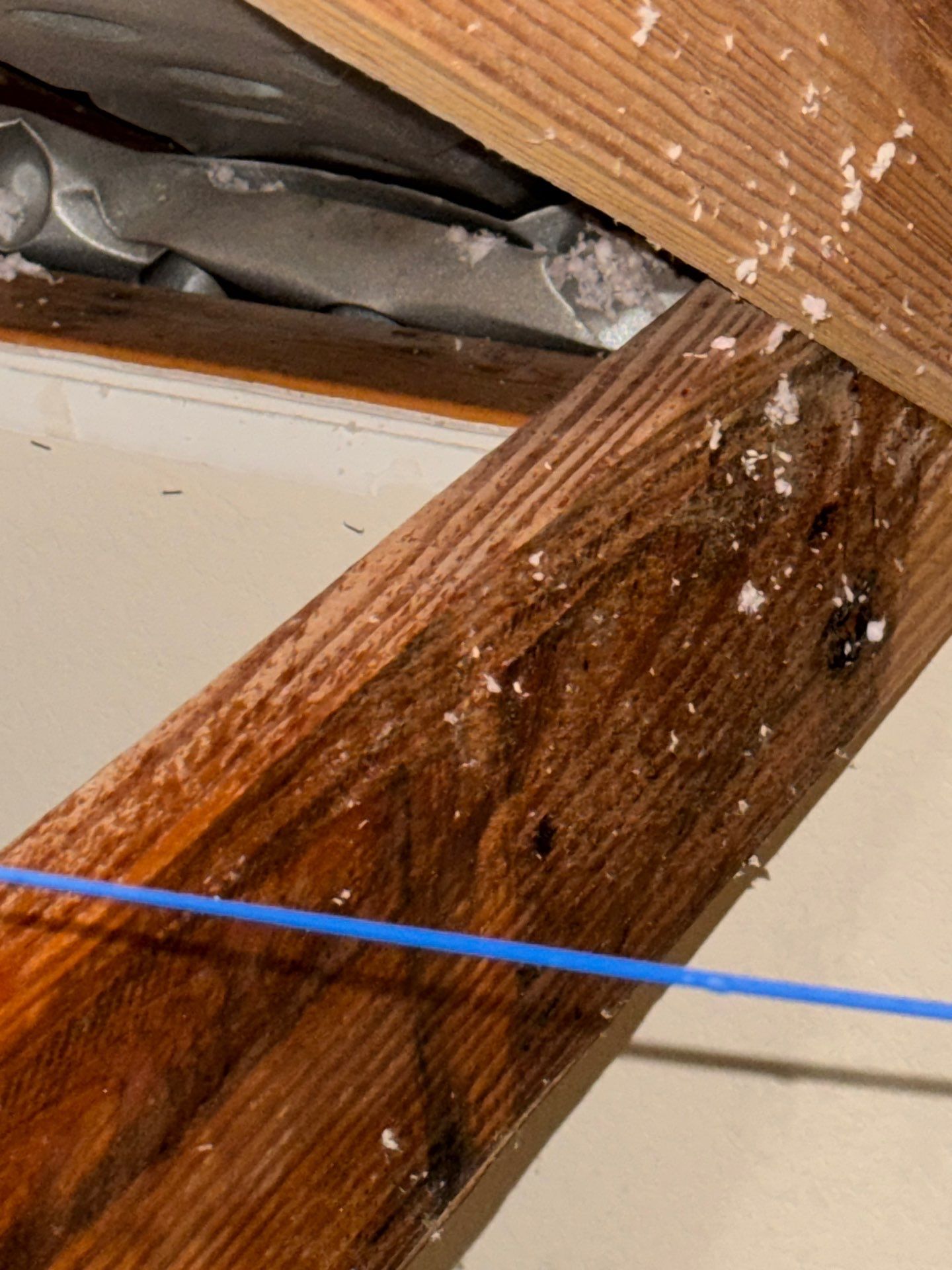 Mold Remediation Job in Katy by Team Home Solutions