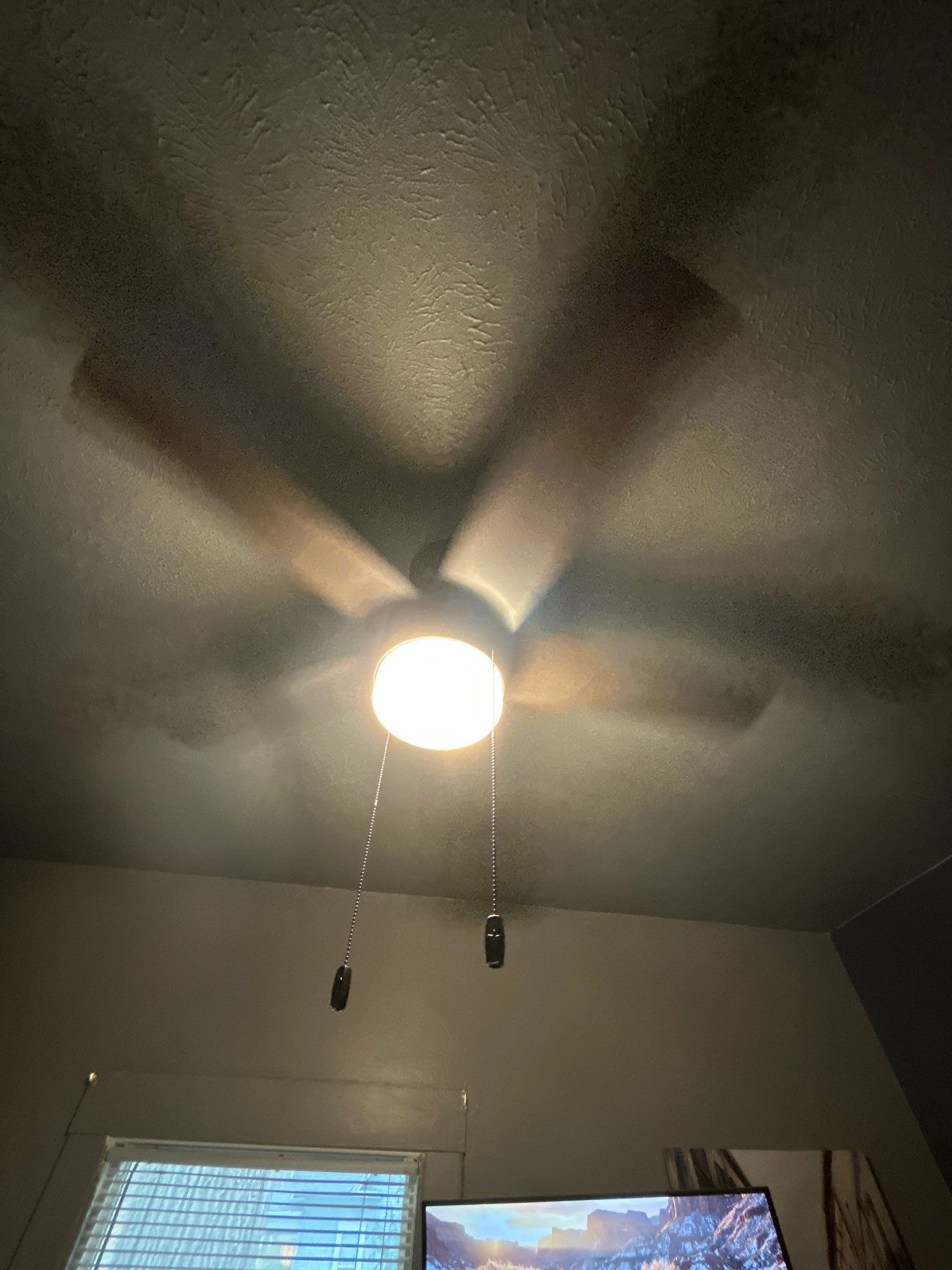Added Switches and Ceiling Fans by Bear Electric