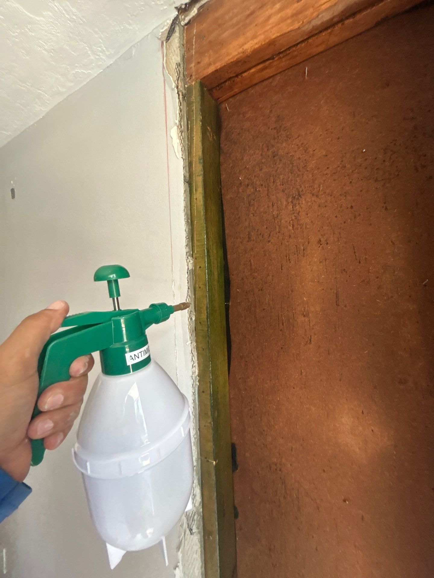 Mold Remediation In Sarasota, FL  by Ampm Restoration Services 