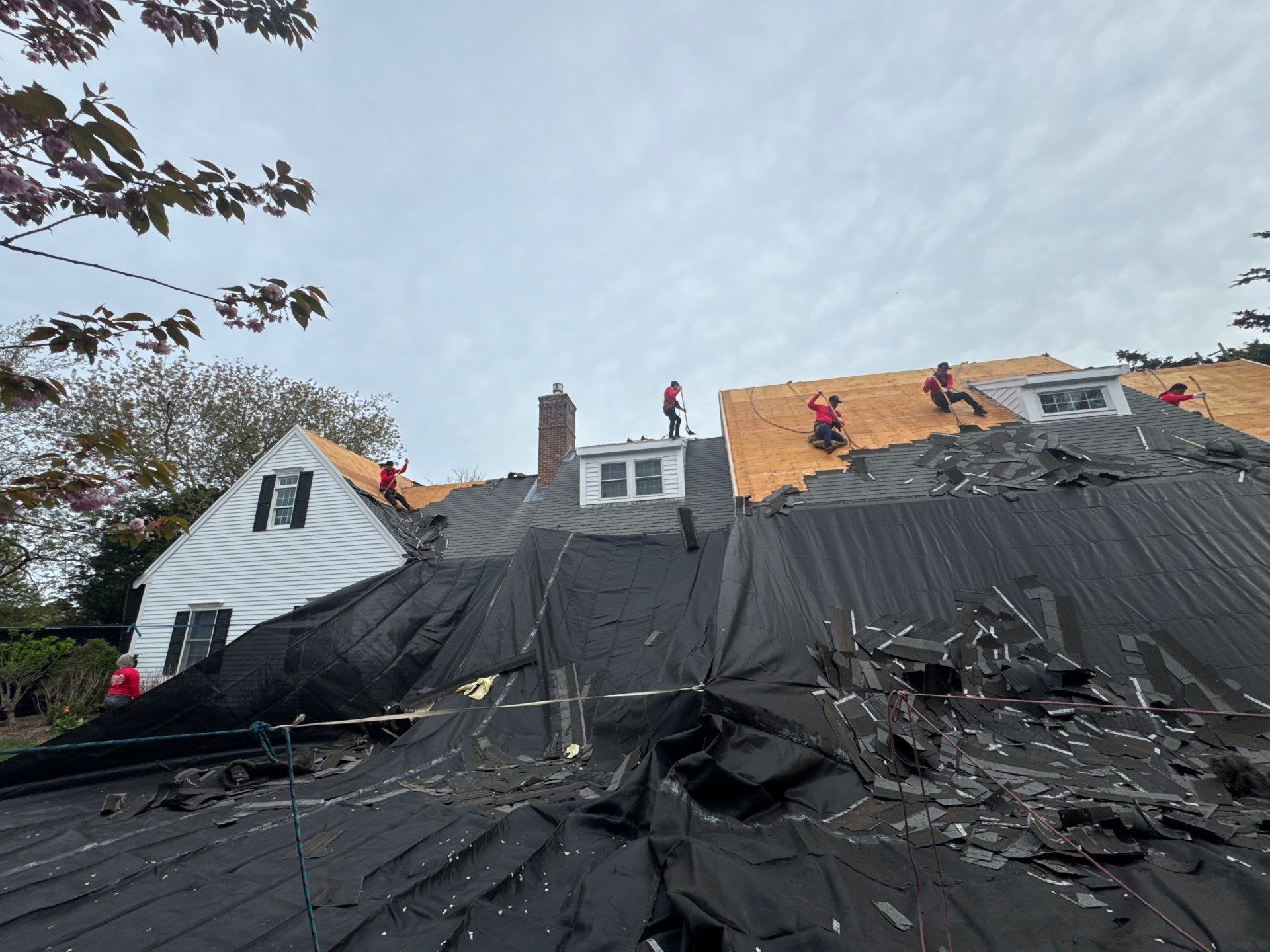 Tyee Roofing Replacement  by Tyee Construction Corp