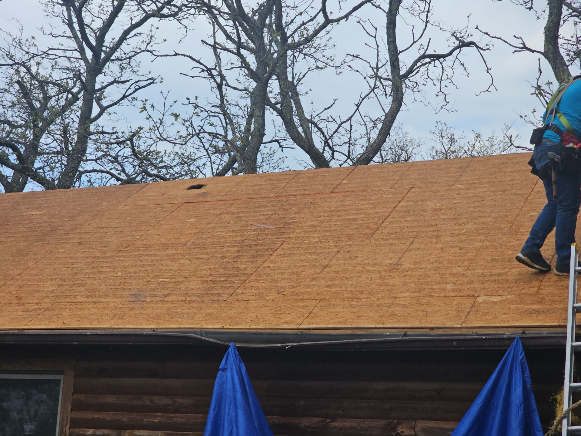 Residential Roof + Gutters & Downspouts Install  by Titan Commercial & Residential Roofing 