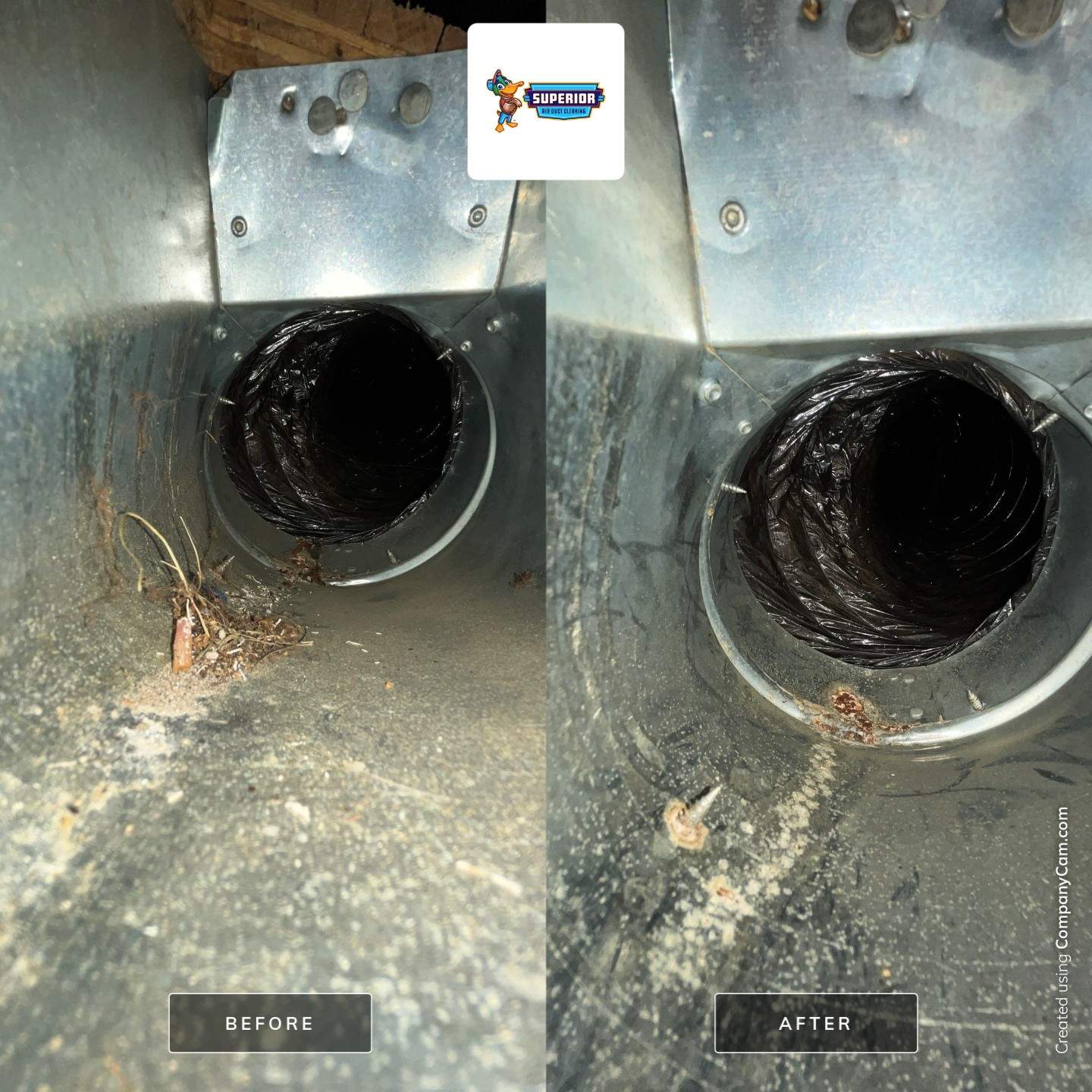 Air Duct Cleaning With a Vacuum Truck in Zelienople, PA by Superior Air Duct Cleaning