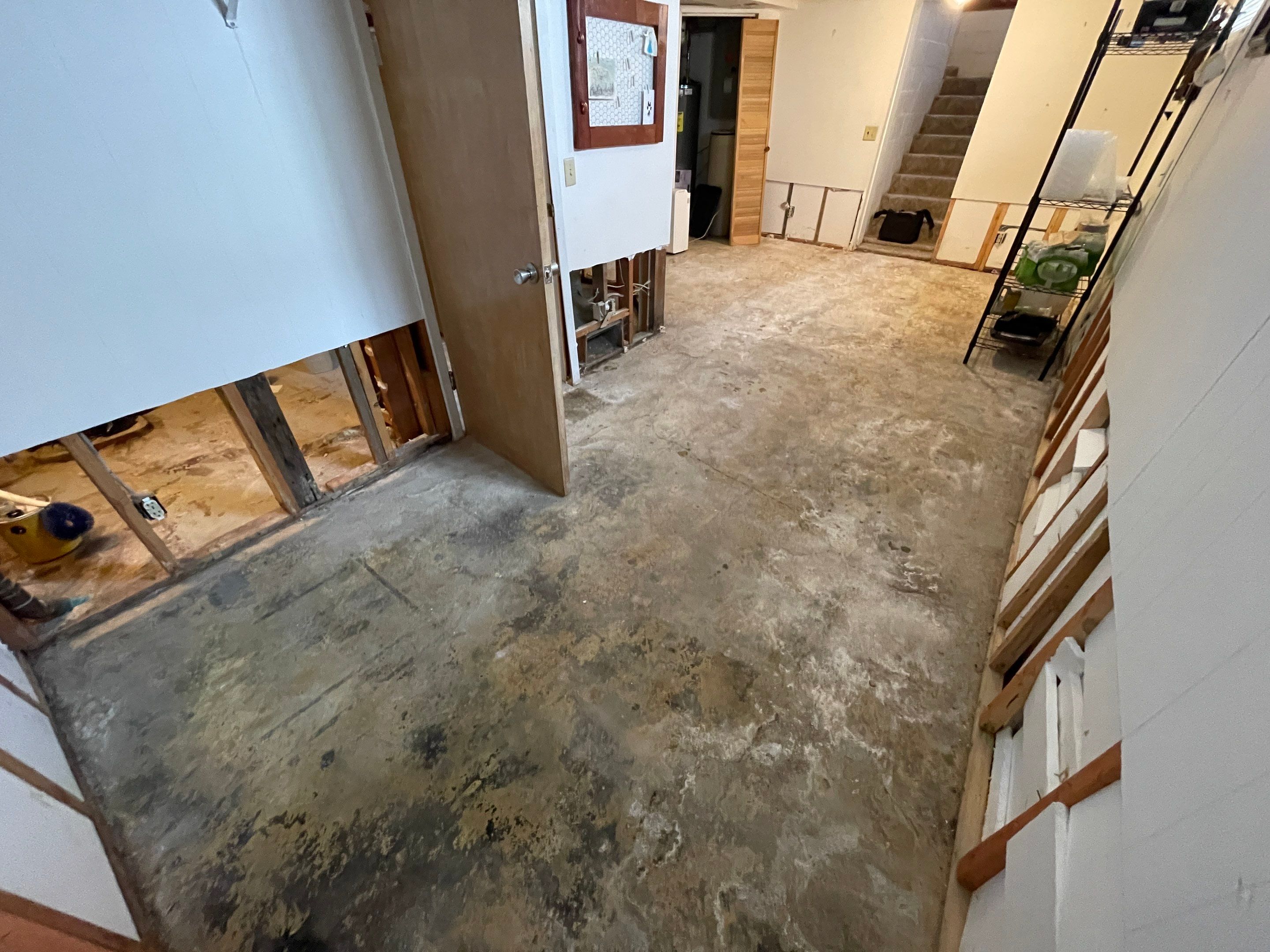 Basement using Mount Everest by Select Painting, Coatings & Garage Cabinets