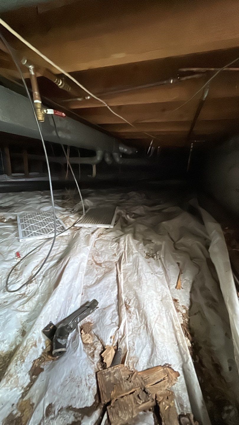 Sewage Backup by Accountable Home Services