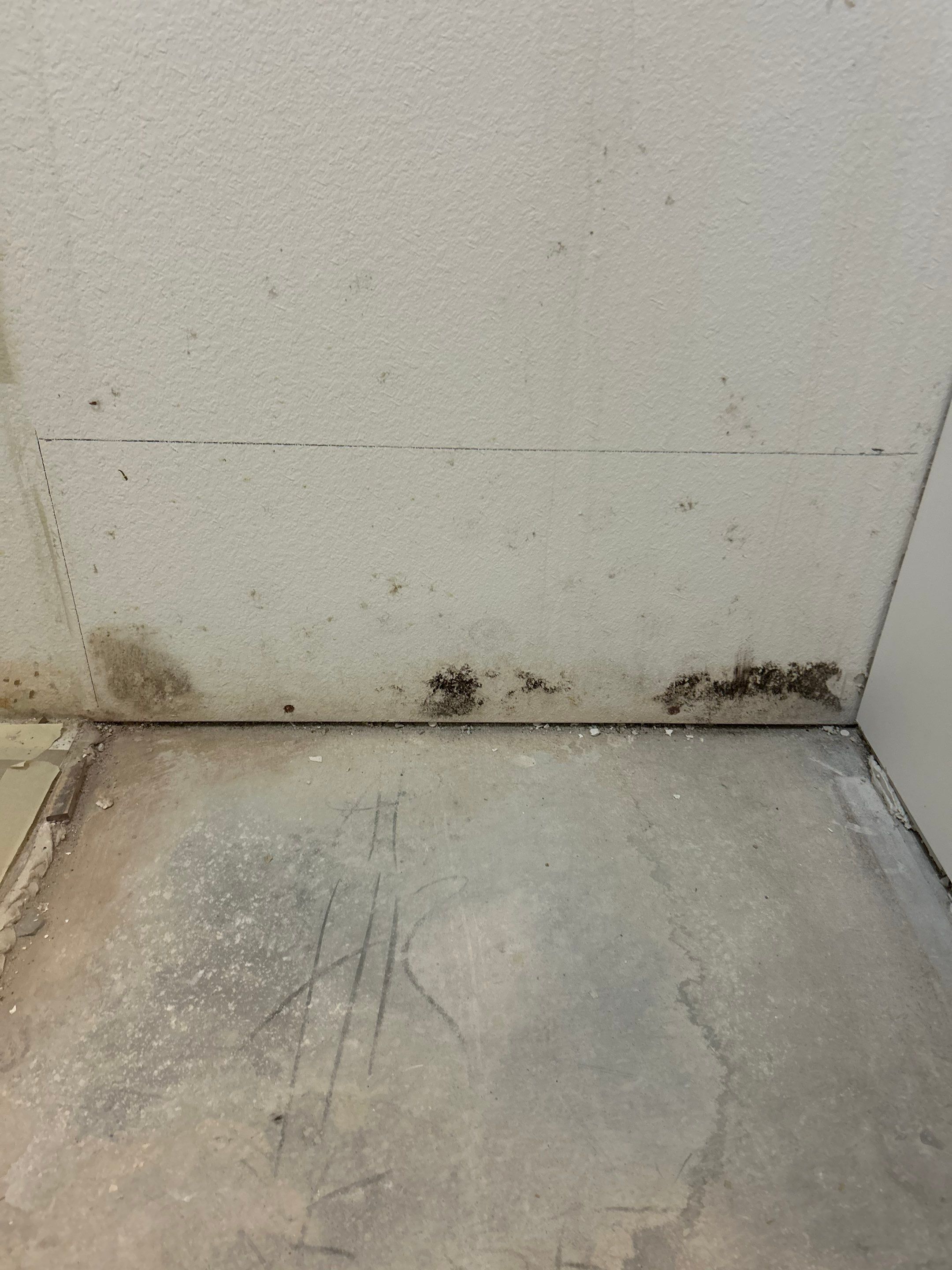 Project in Valrico by You Restorations LLC DBA YOU-Home