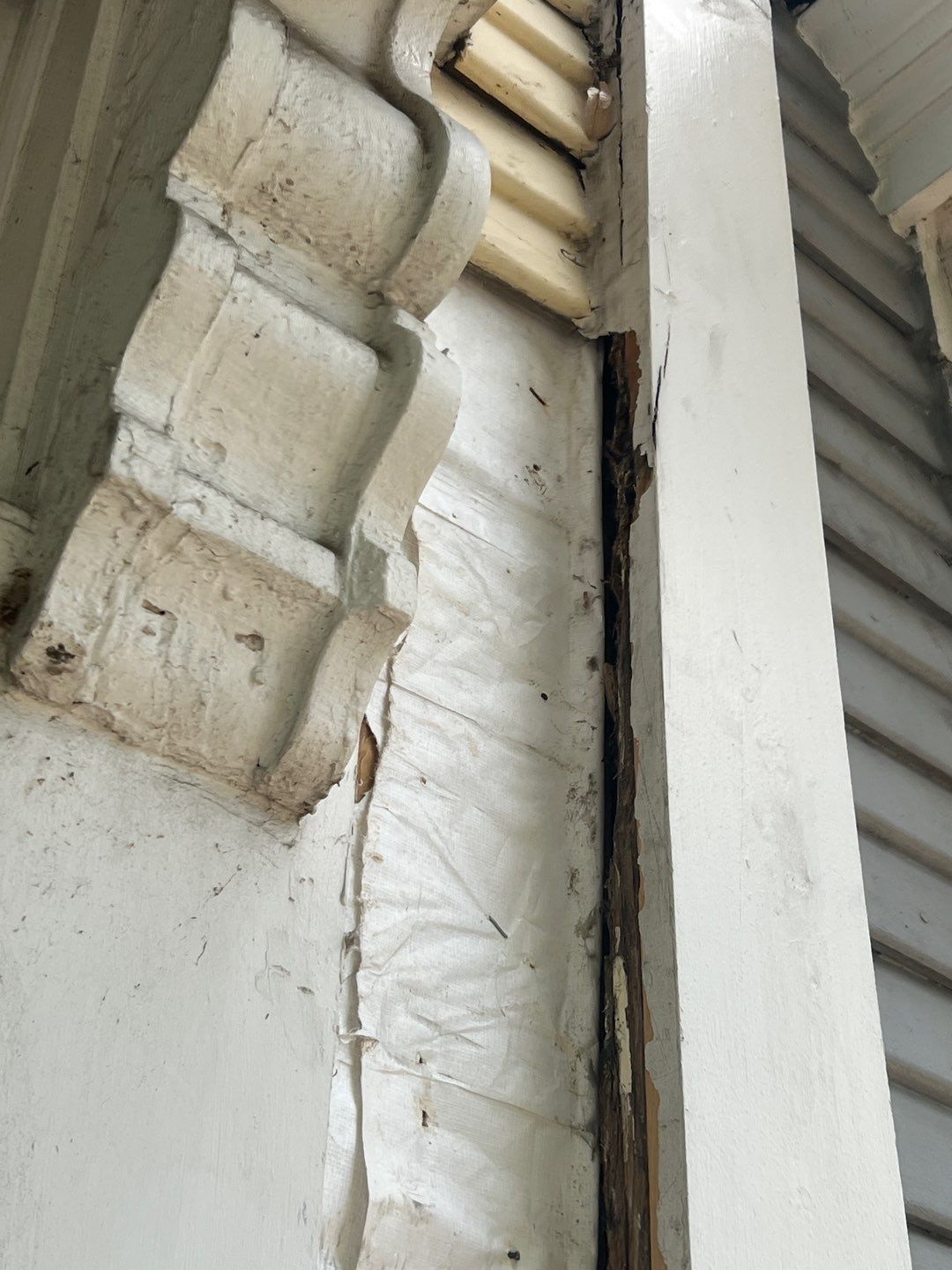 Alexandria: Siding Replacement with Solid Pine Wood Lap Siding by RM Banning, Inc.