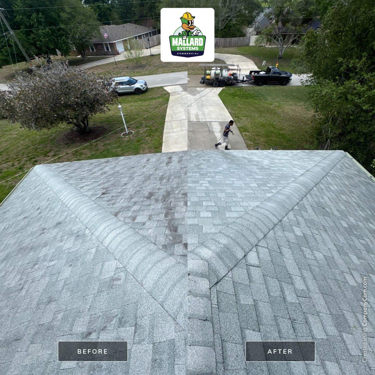 Shingle Roof Cleaning by Mallard Systems