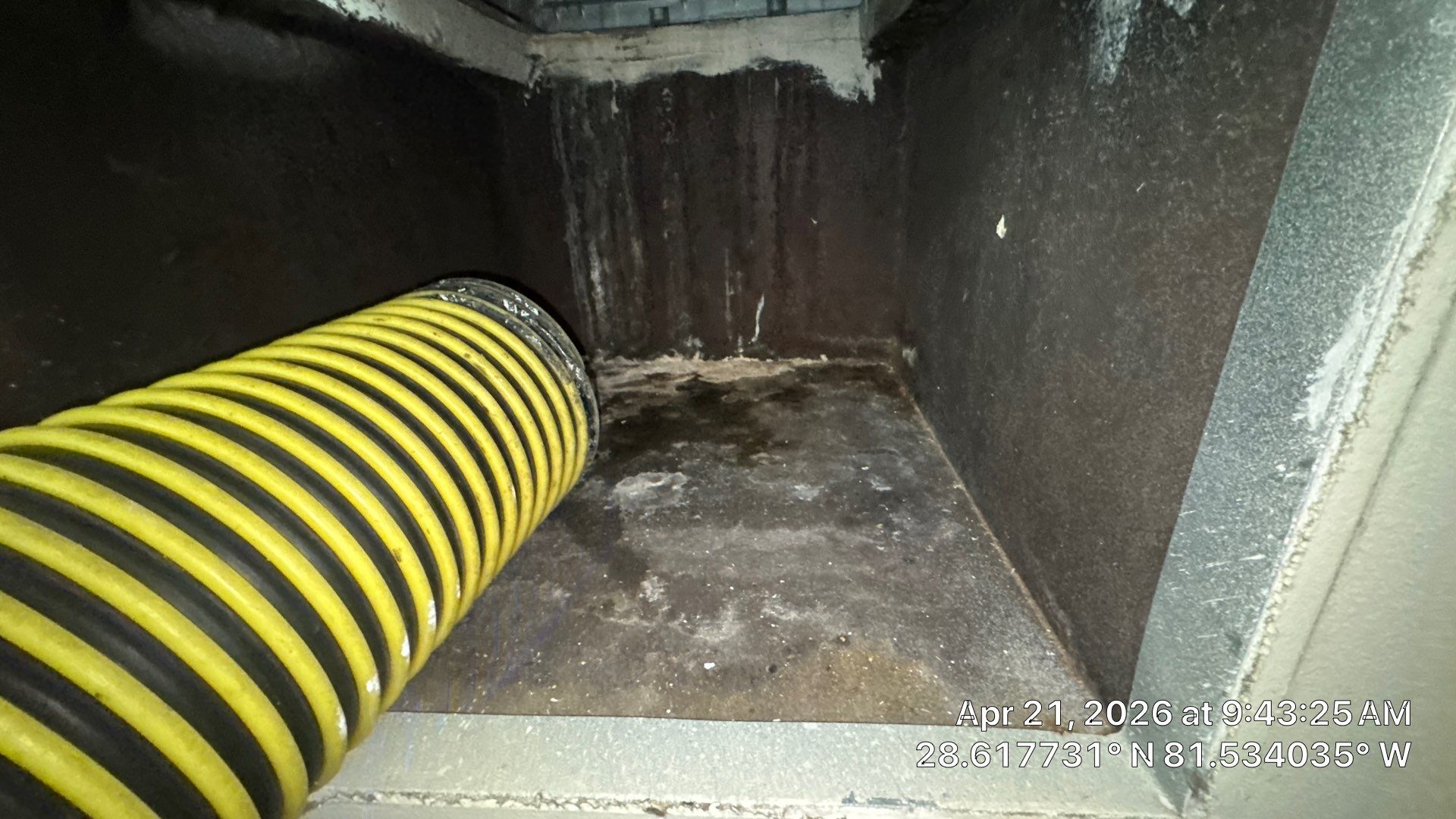 Air Duct Cleaning in Ocoee by Hygienic Air, Inc