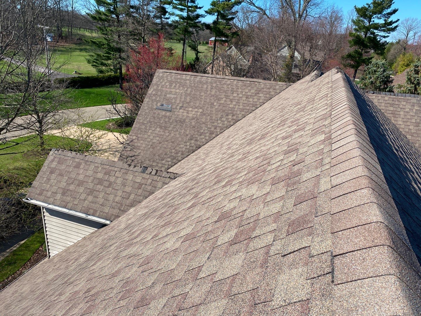 Alan Ross by Silver Leaf Contracting 