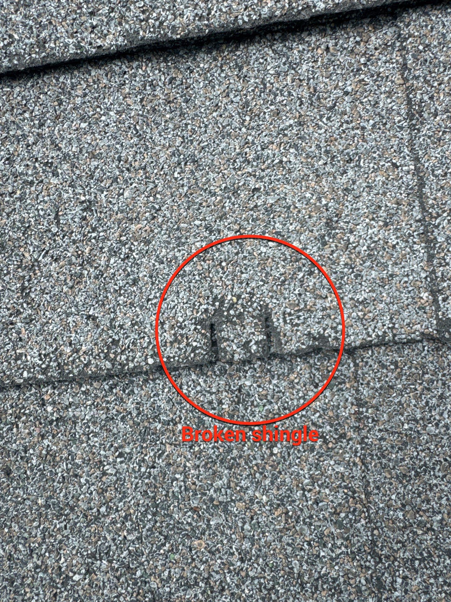 Tyee Roofing Replacement  by Tyee Construction Corp