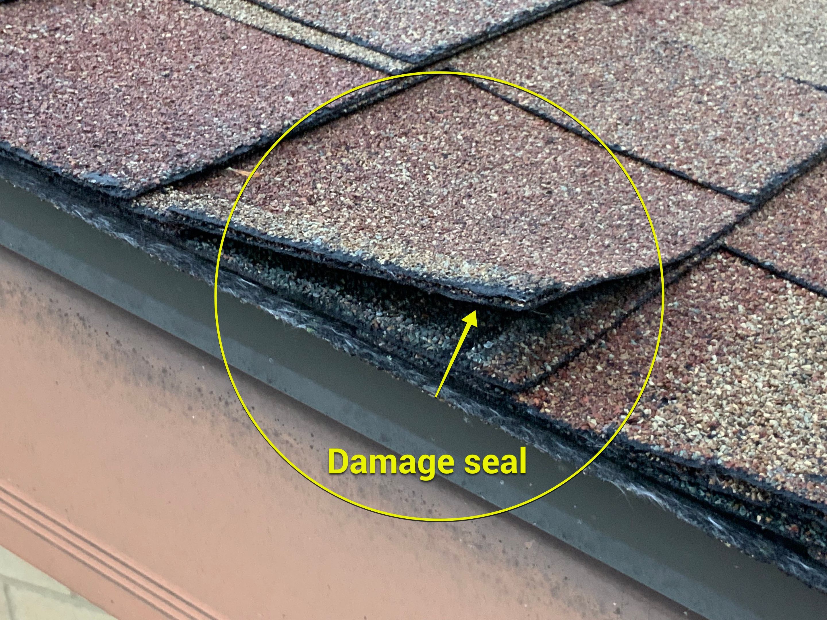 Residential Roofing Installation using CertainTeed Shingles by Alpha Design Services