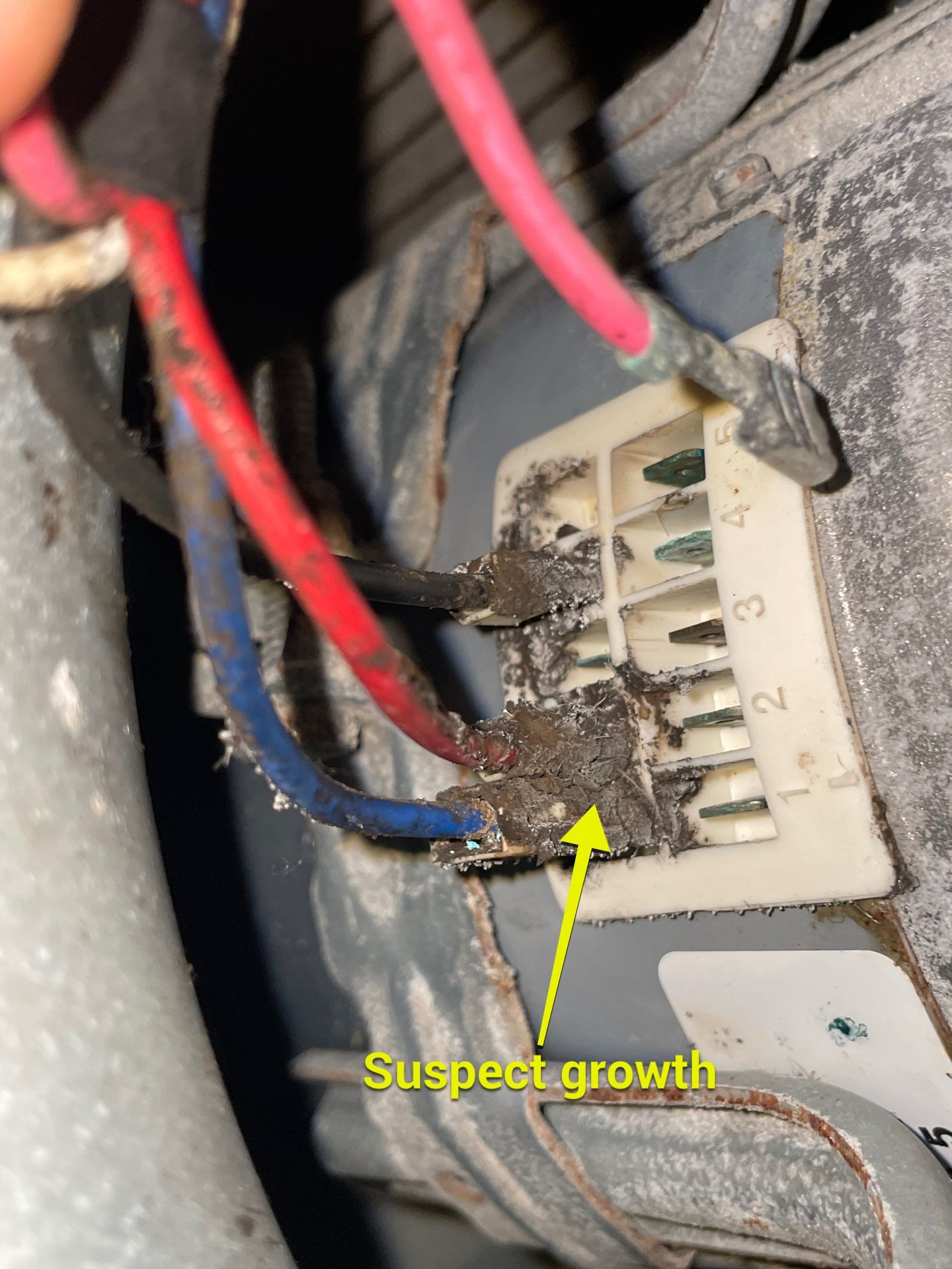 Commercial Air Duct Cleaning in Tavares by Hygienic Air, Inc