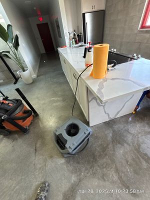 Commercial Mold Removal 