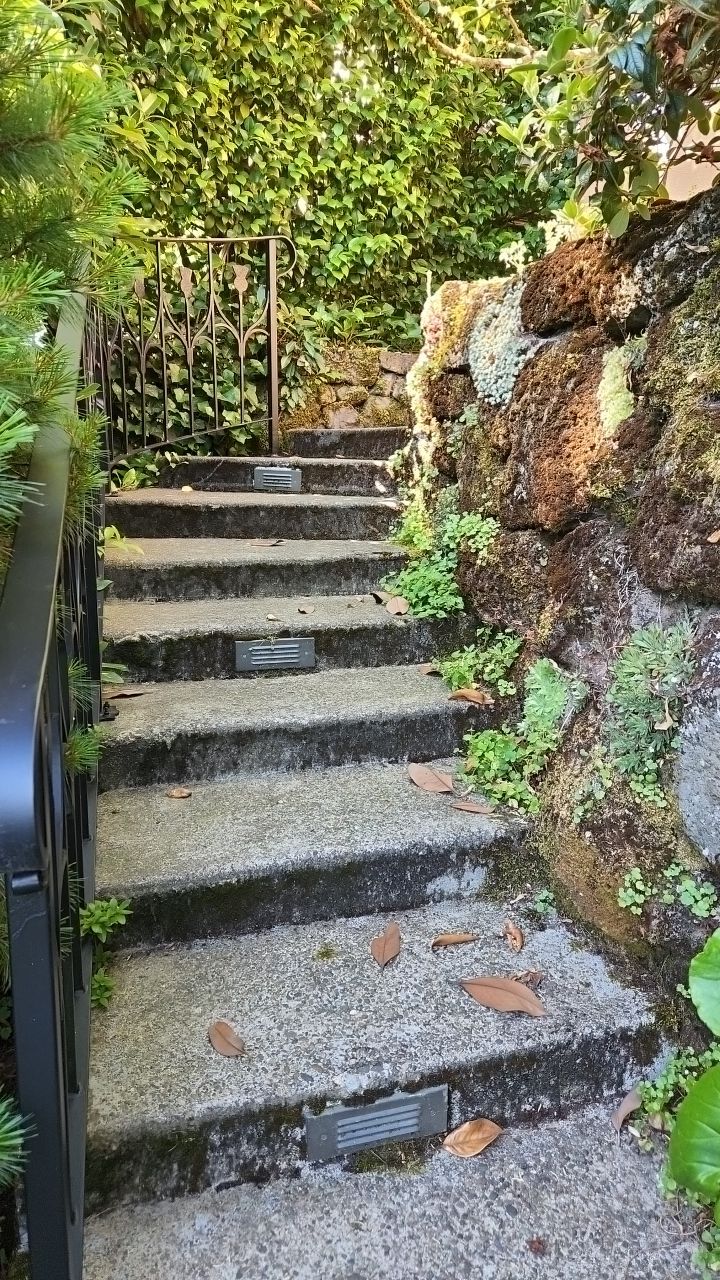 Flat work using Pressure washing no chemicals by Willamette Outdoor Wash LLC