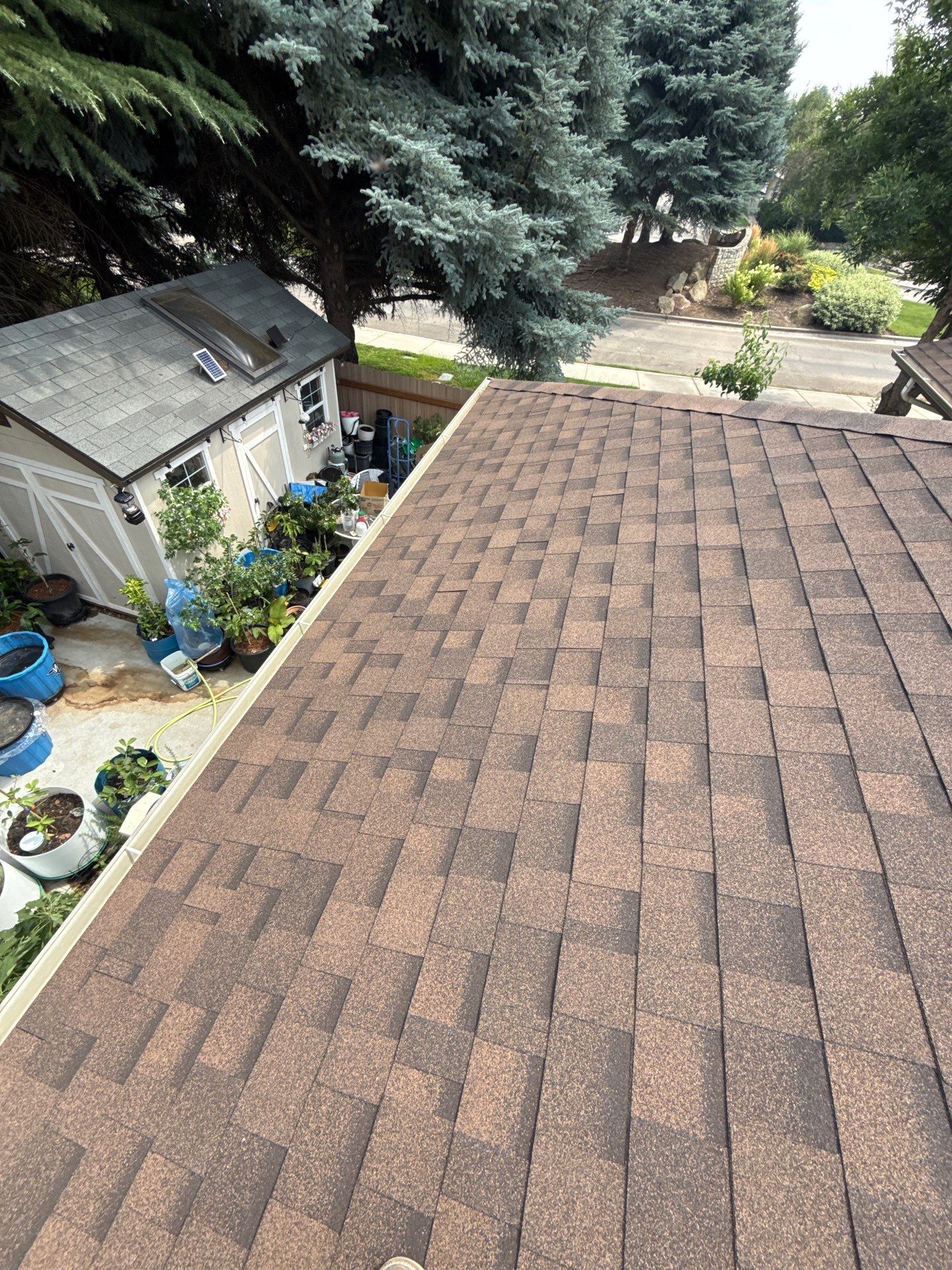 Boise Commercial Roof Replacement with Brown Architectural Shingles by Olive Roofing