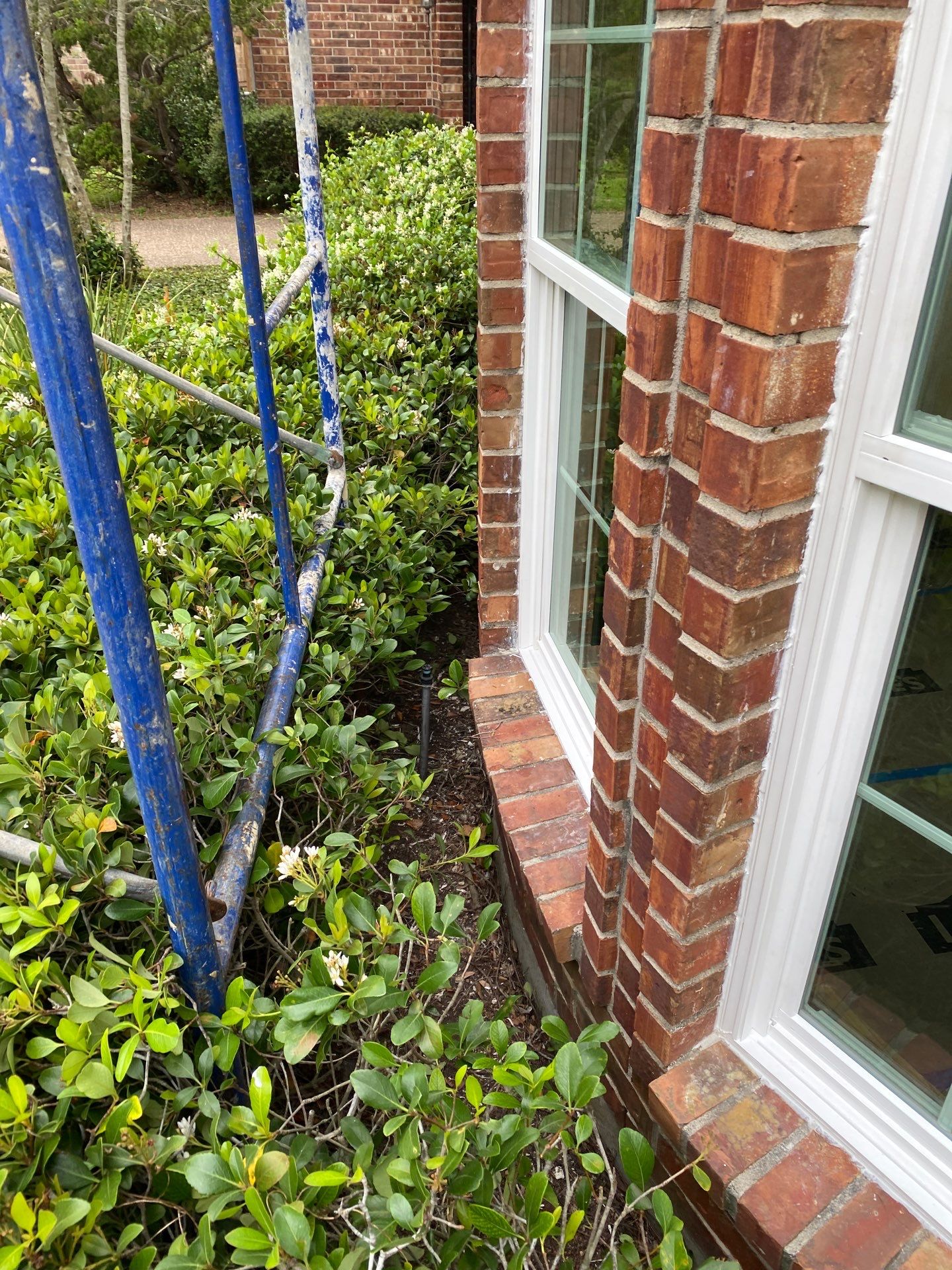 Oval Office Rebuild by Bayfront Roofing and Construction