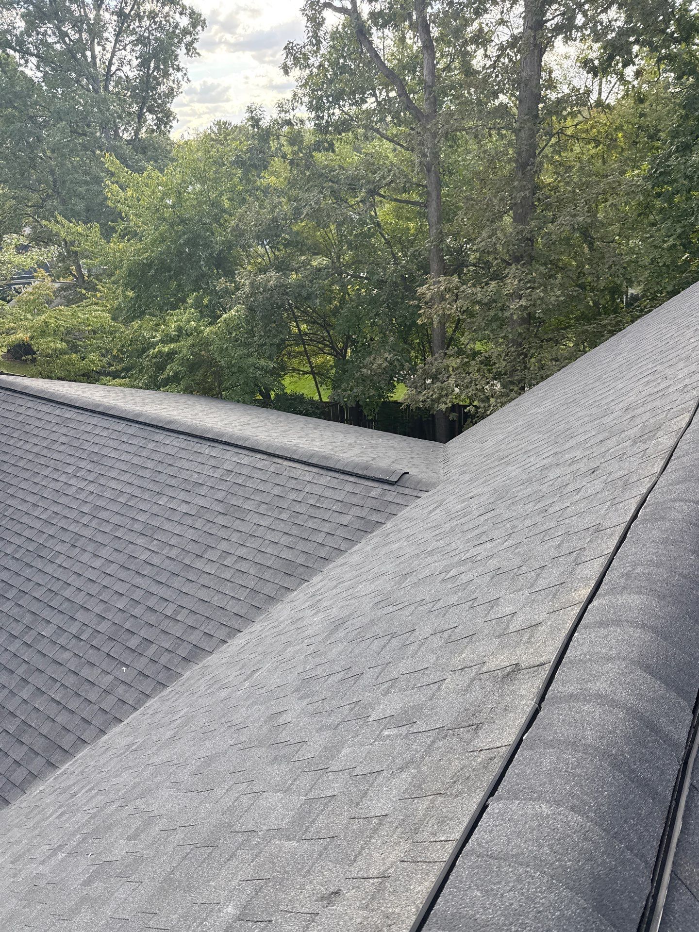 Falls Church: Residential Roof Replacement with CertainTeed Landmark in Moire Black  by RM Banning, Inc.