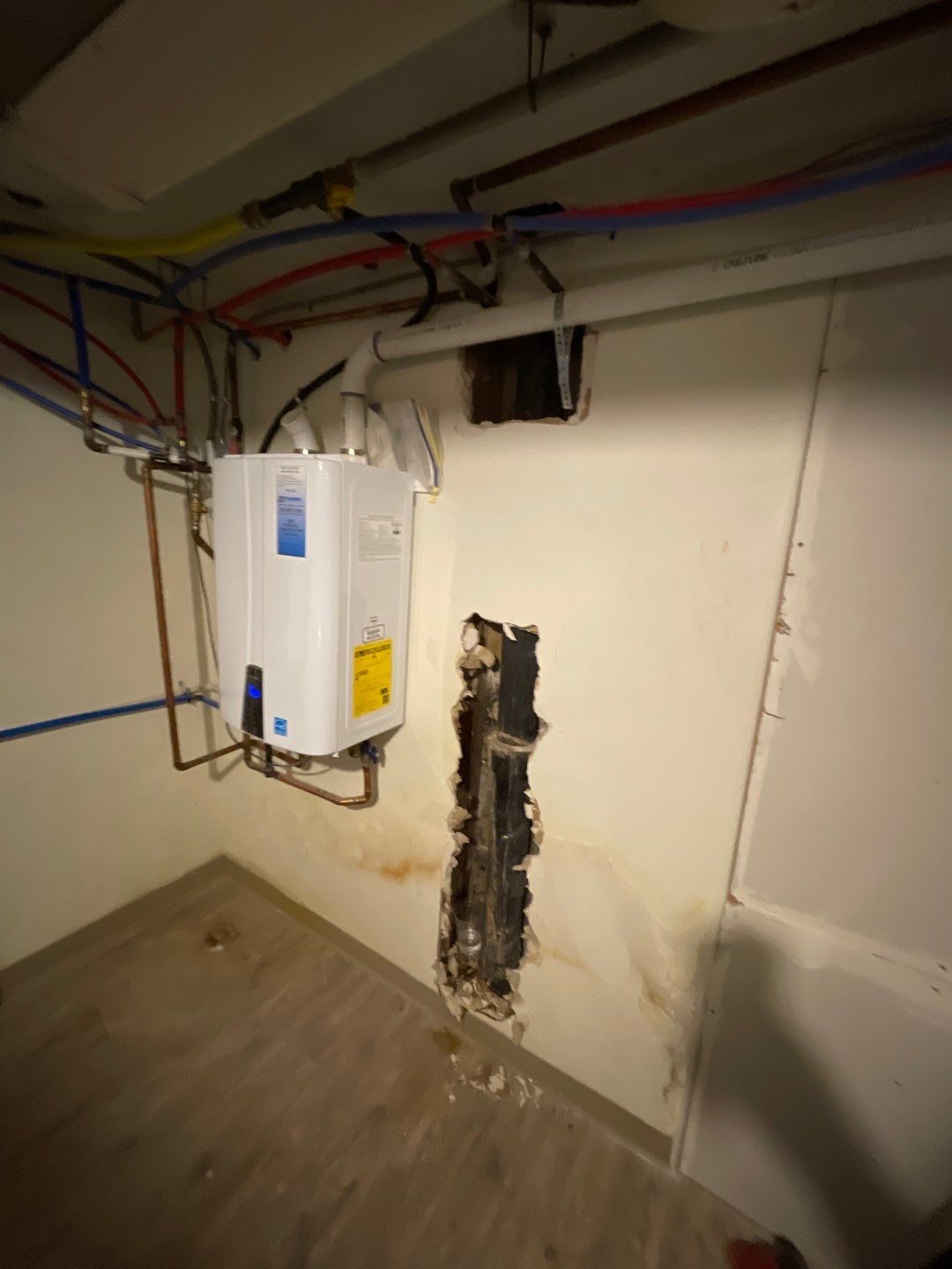 Mold Remediation by Accountable Home Services