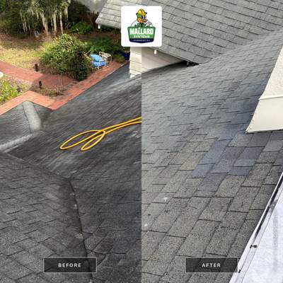 Shingle Roof Cleaning and Debris Removal in Winter Park
