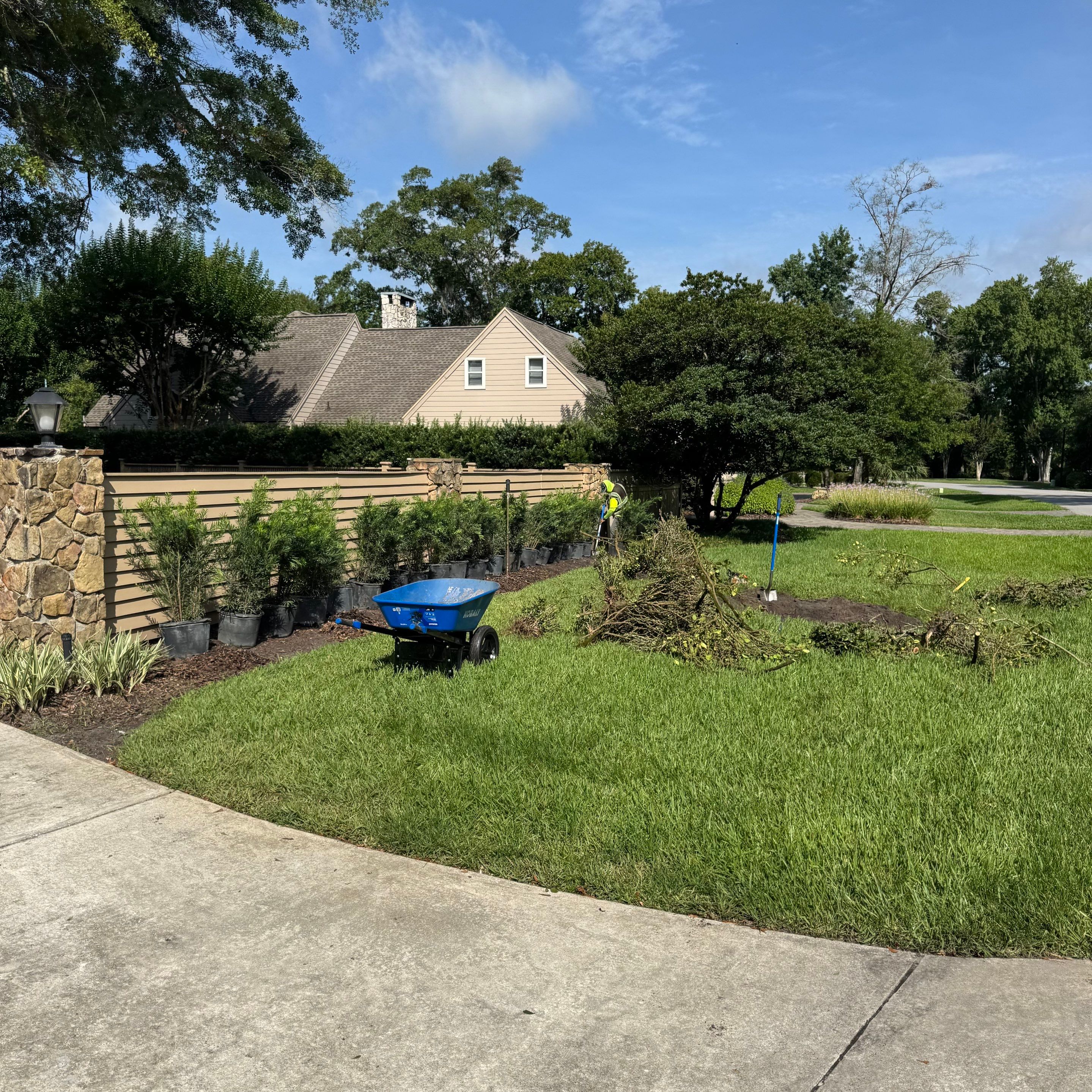 Deerwood Resident | Plant Install & Tree Work by ProGreen Services