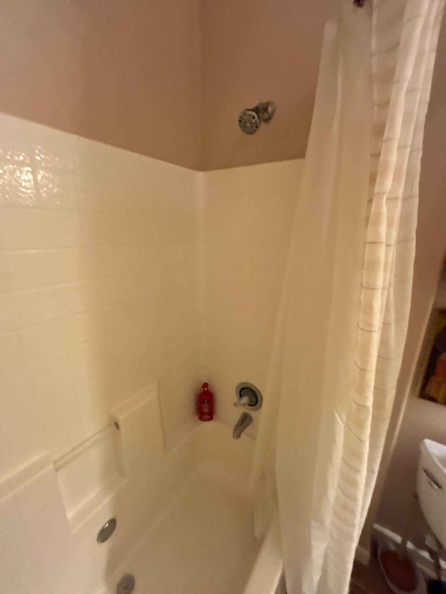 Tub to walk in Shower in Fredericksburg by Lane Lauritsen - The Hill Country, Texas
