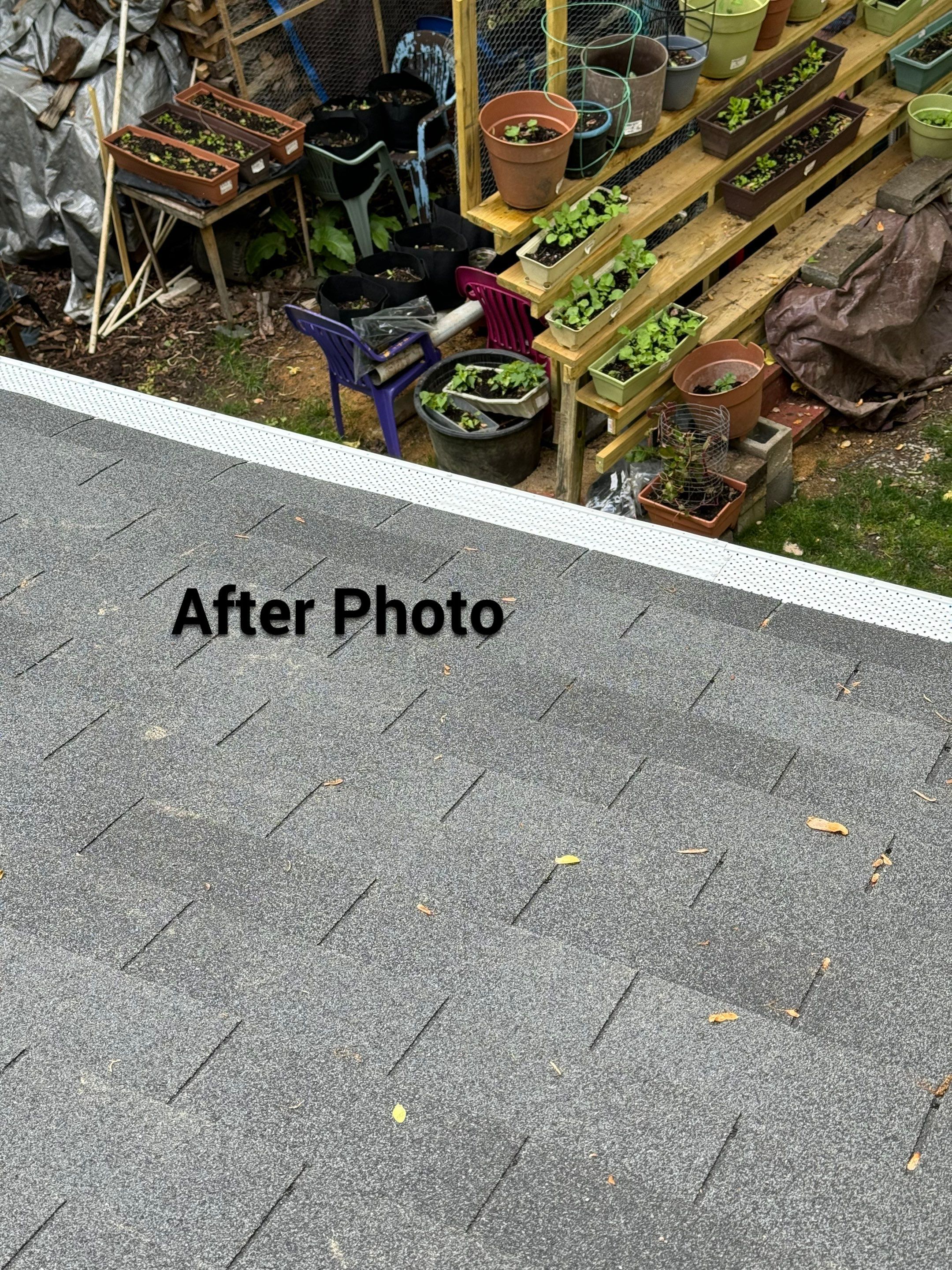 New Screen in cover porch  by Alpha Design Services