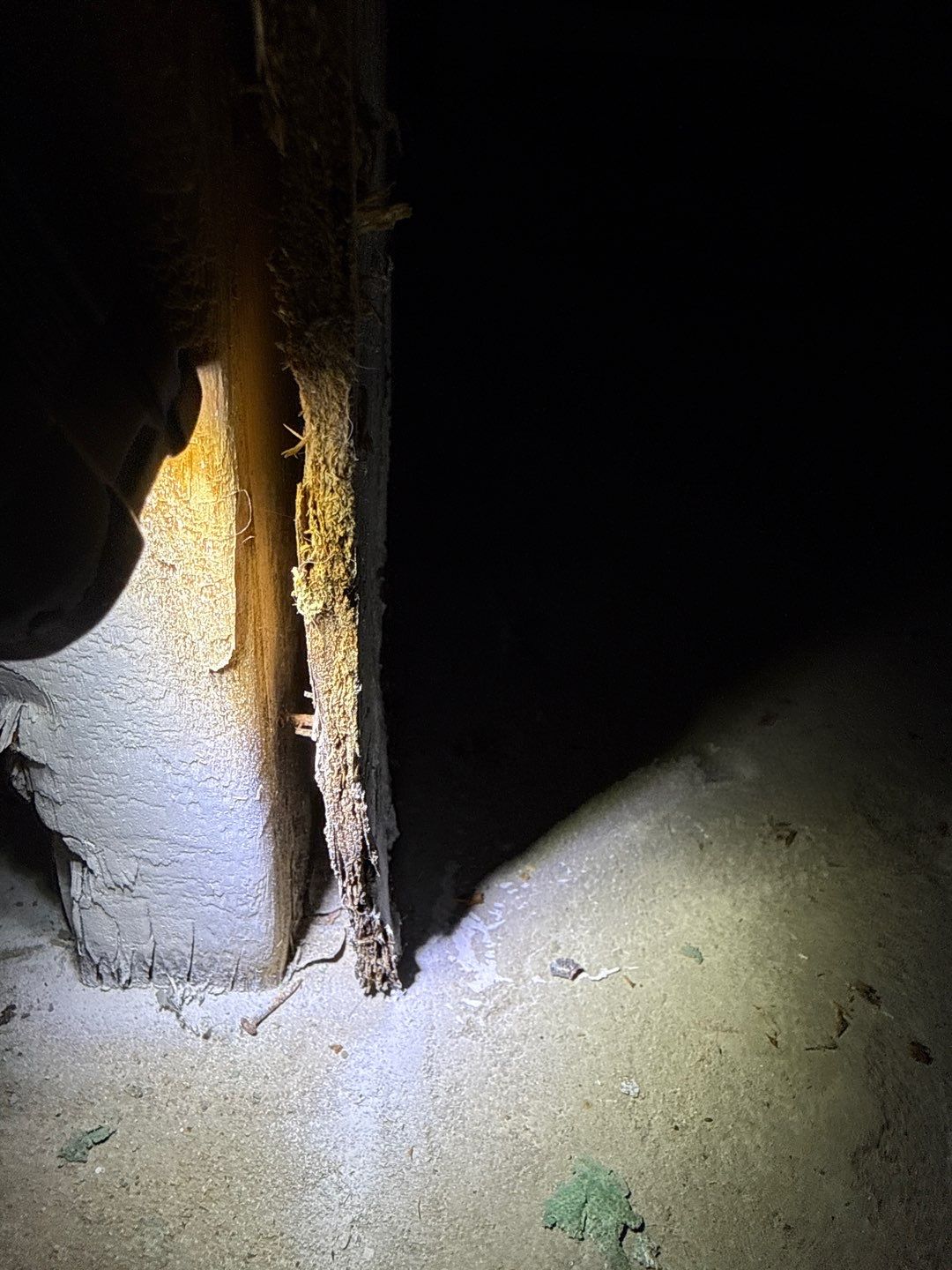 Post‑Remediation Clearance Test & Corrective Mold Remediation, Dover, DE. by Healthy Home Solutions